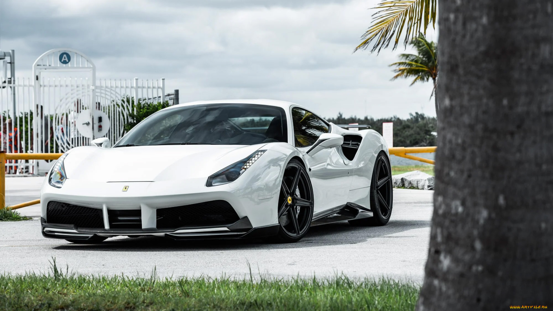 автомобили, ferrari, 488