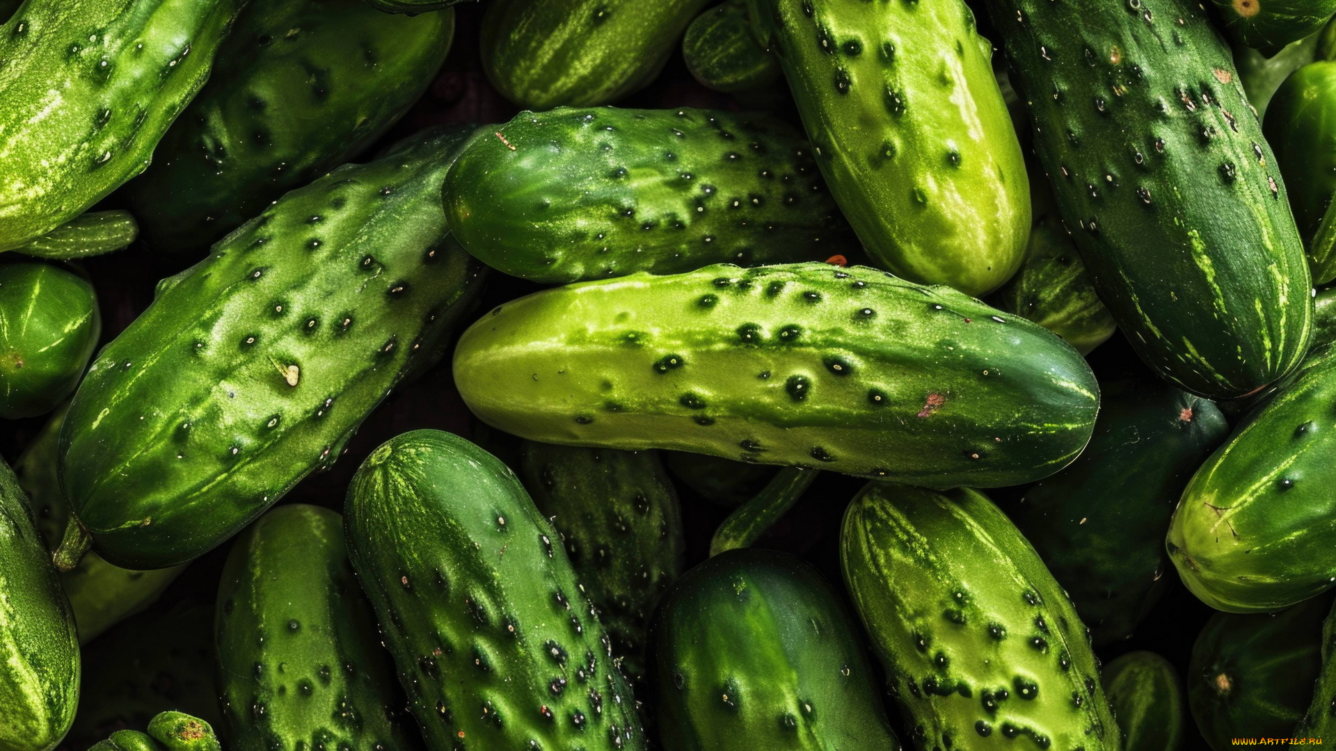еда, огурцы, свежие, макро