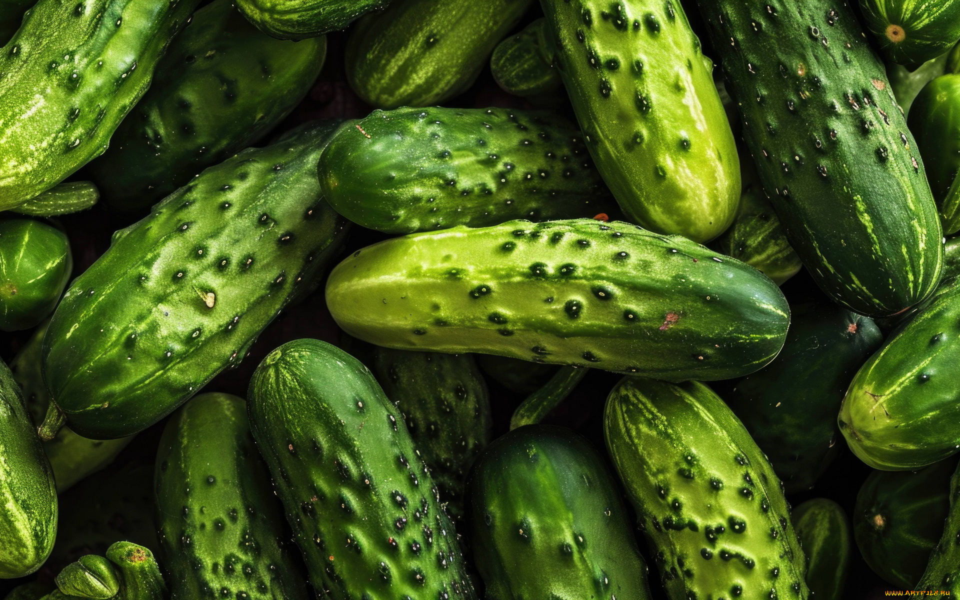 еда, огурцы, свежие, макро