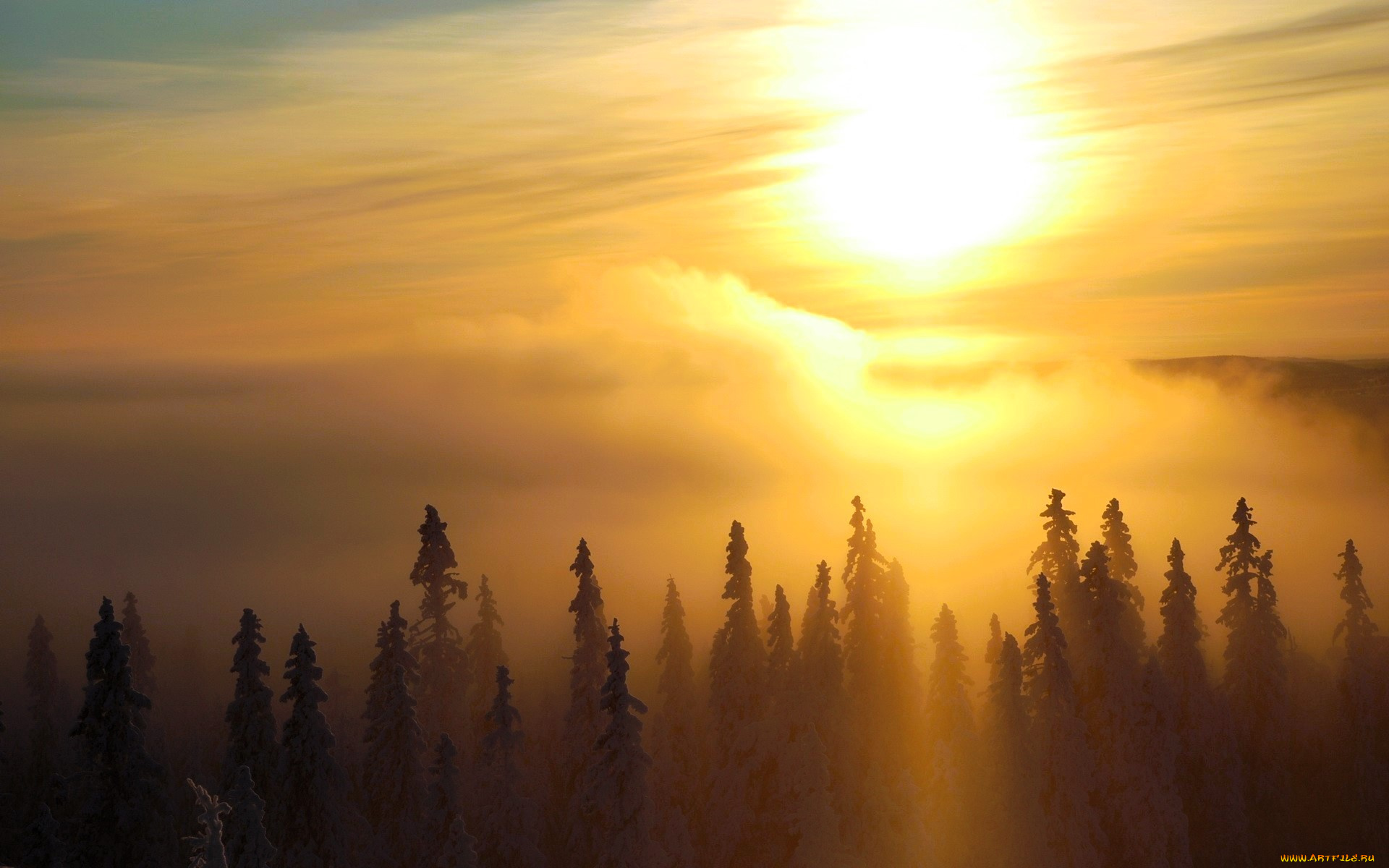 природа, восходы, закаты, солнце, рассвет, облака, лес, туман