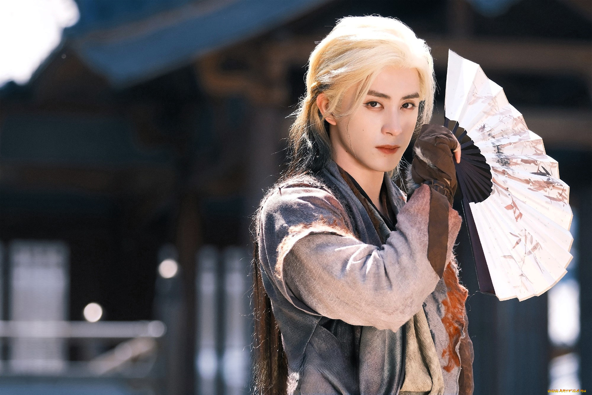 кино, фильмы, moonlight, mystique, парень, веер, дома