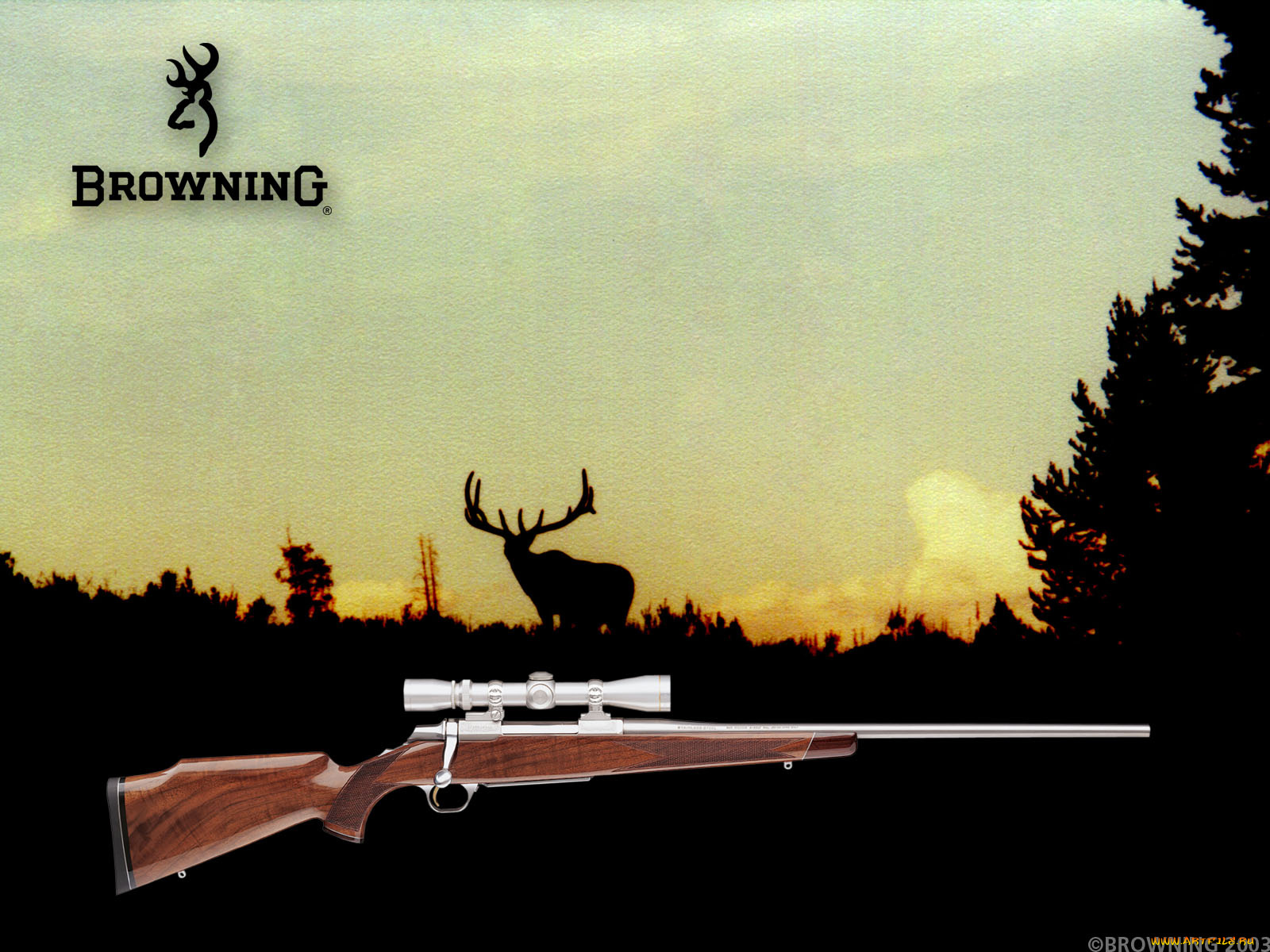 оружие, винтовки, прицеломприцелы