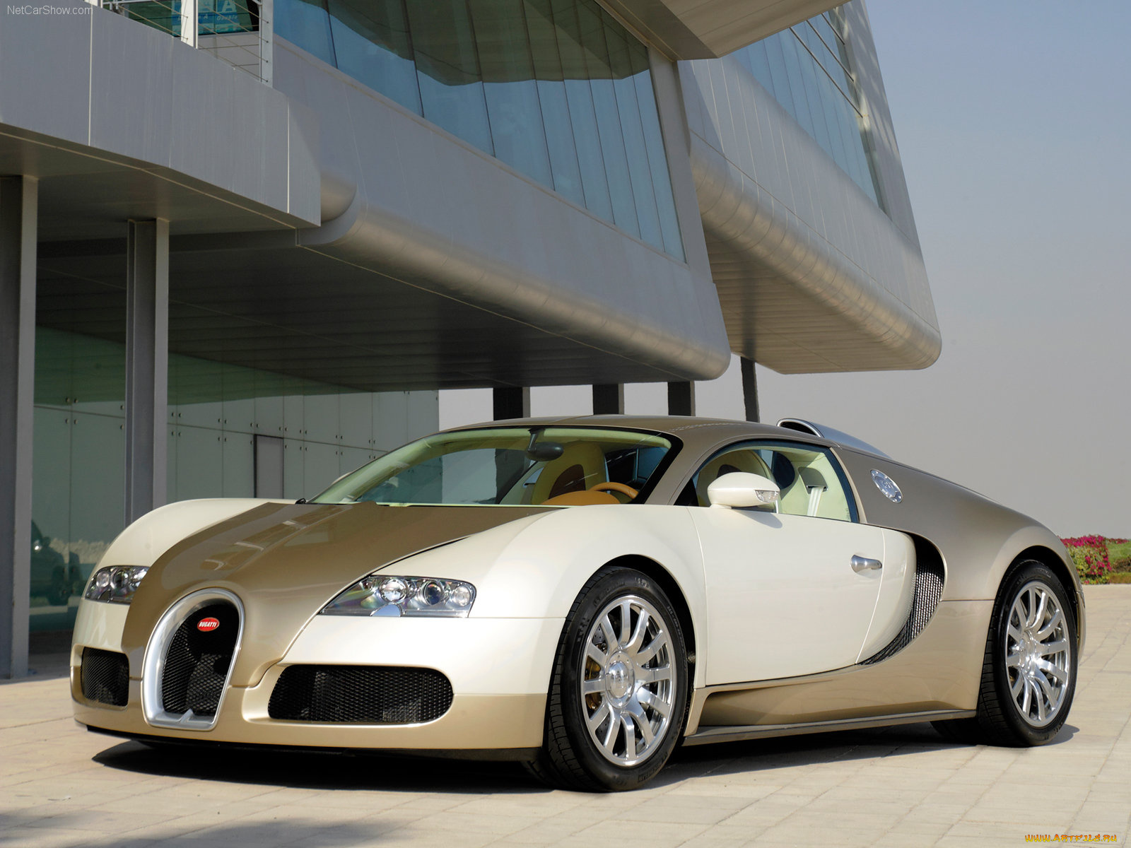 bugatti, veyron, 2009, автомобили