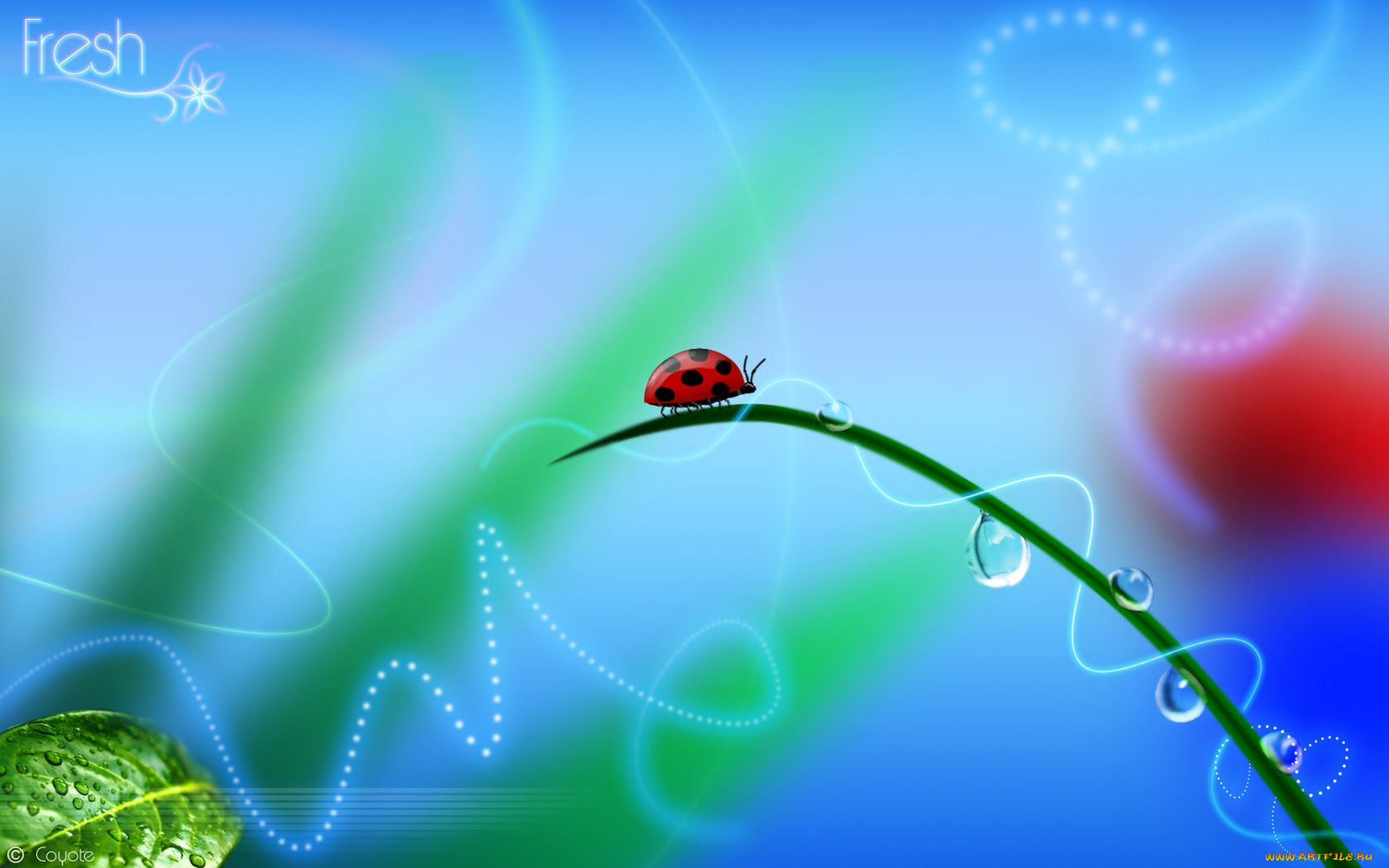 разное, компьютерный, дизайн