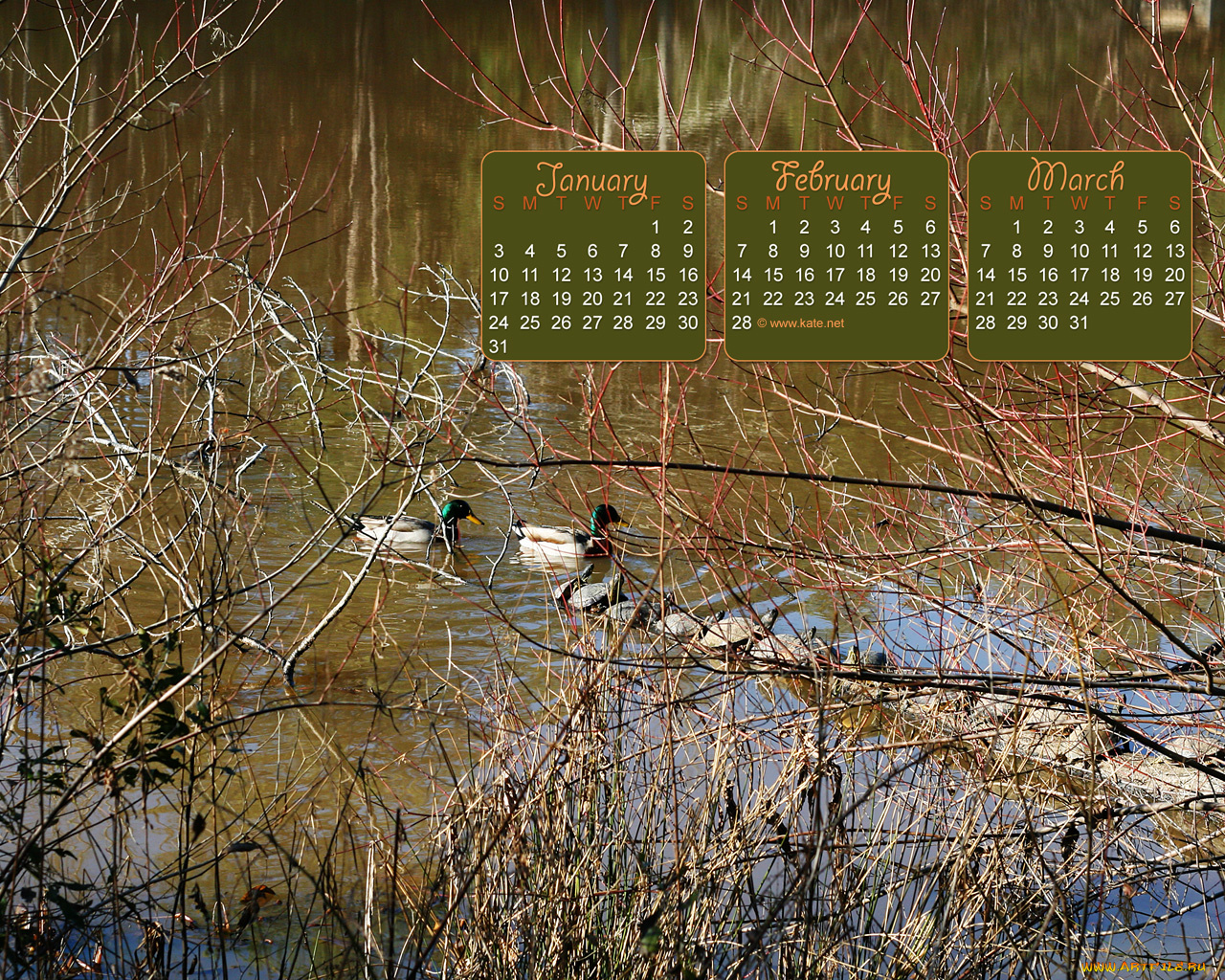 календари, природа