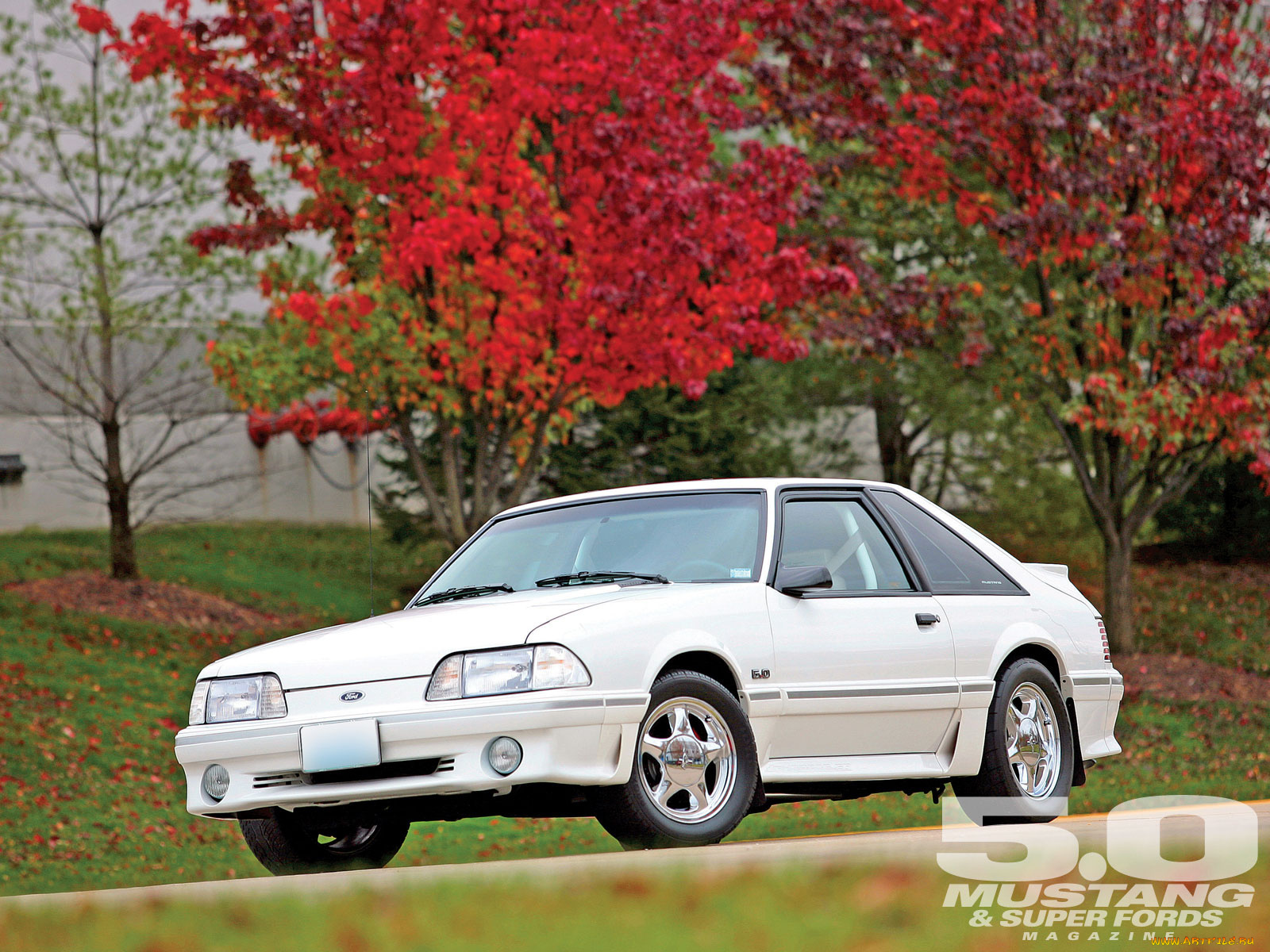 автомобили, mustang