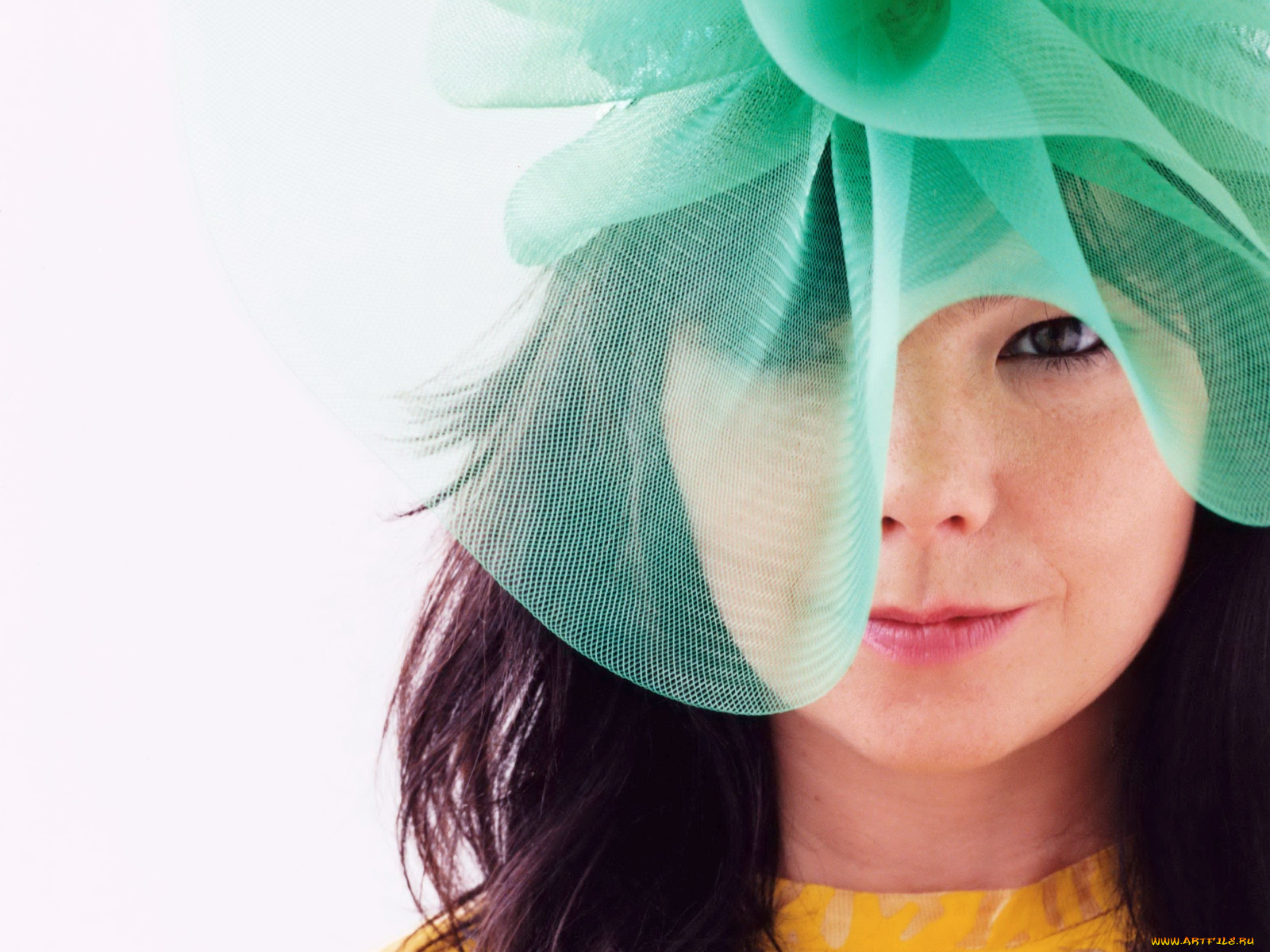 bj&, 246, rk, музыка, bjork