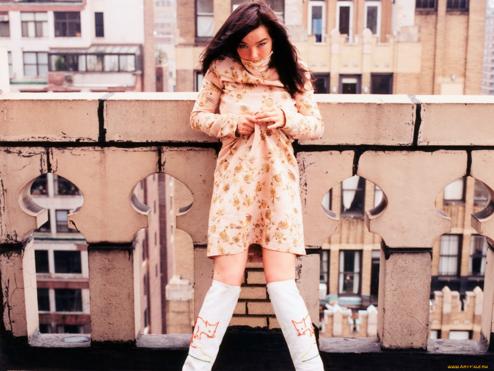 bj&, 246, rk, музыка, bjork