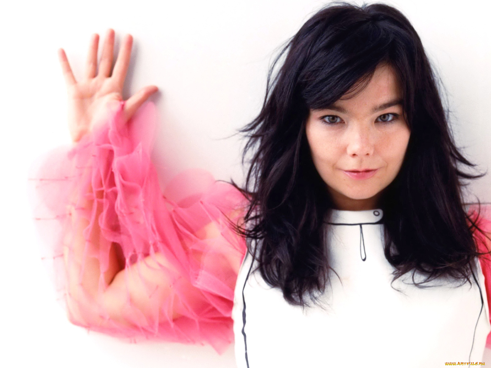 bj&, 246, rk, музыка, bjork