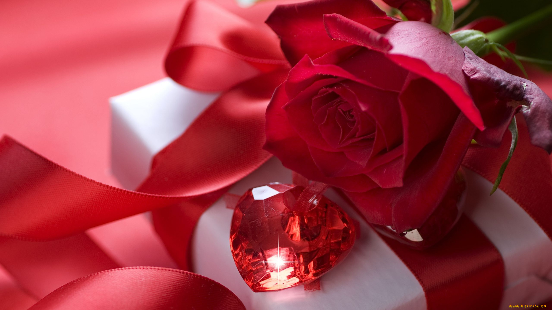 цветы, розы