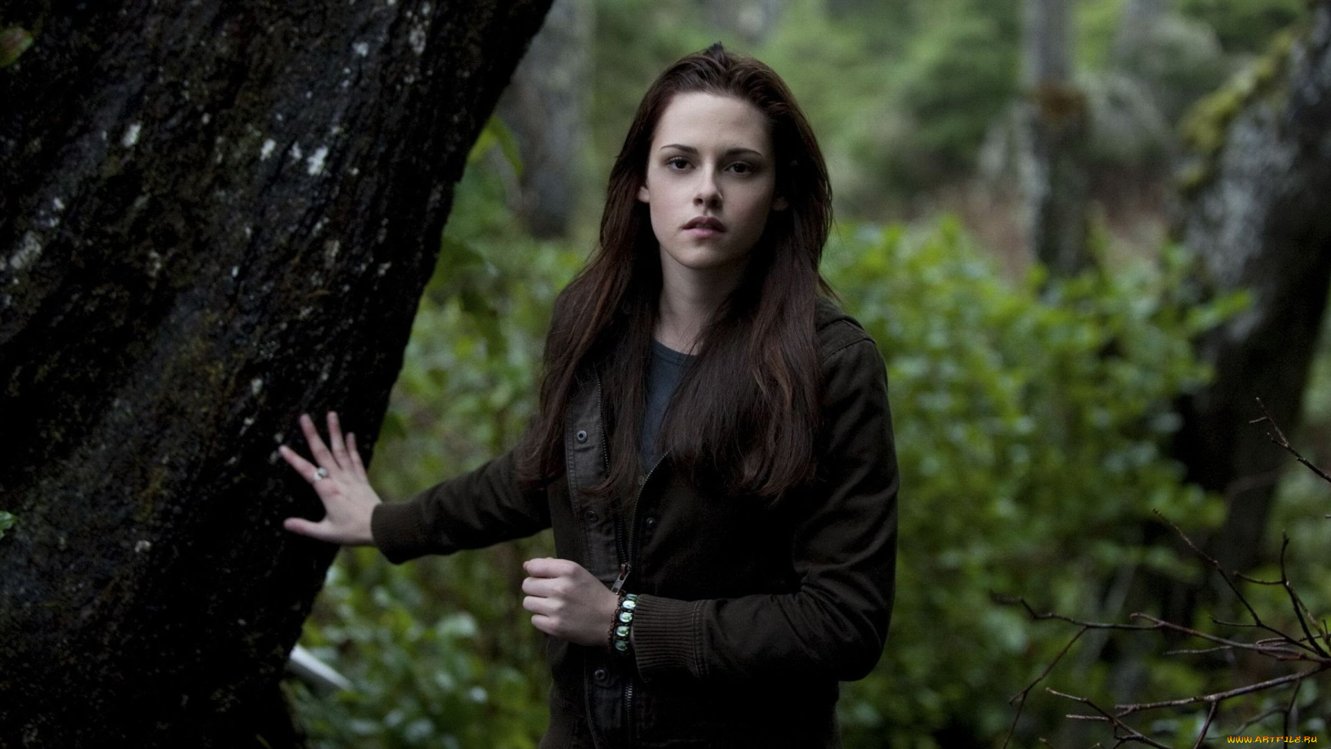 the, twilight, кино, фильмы