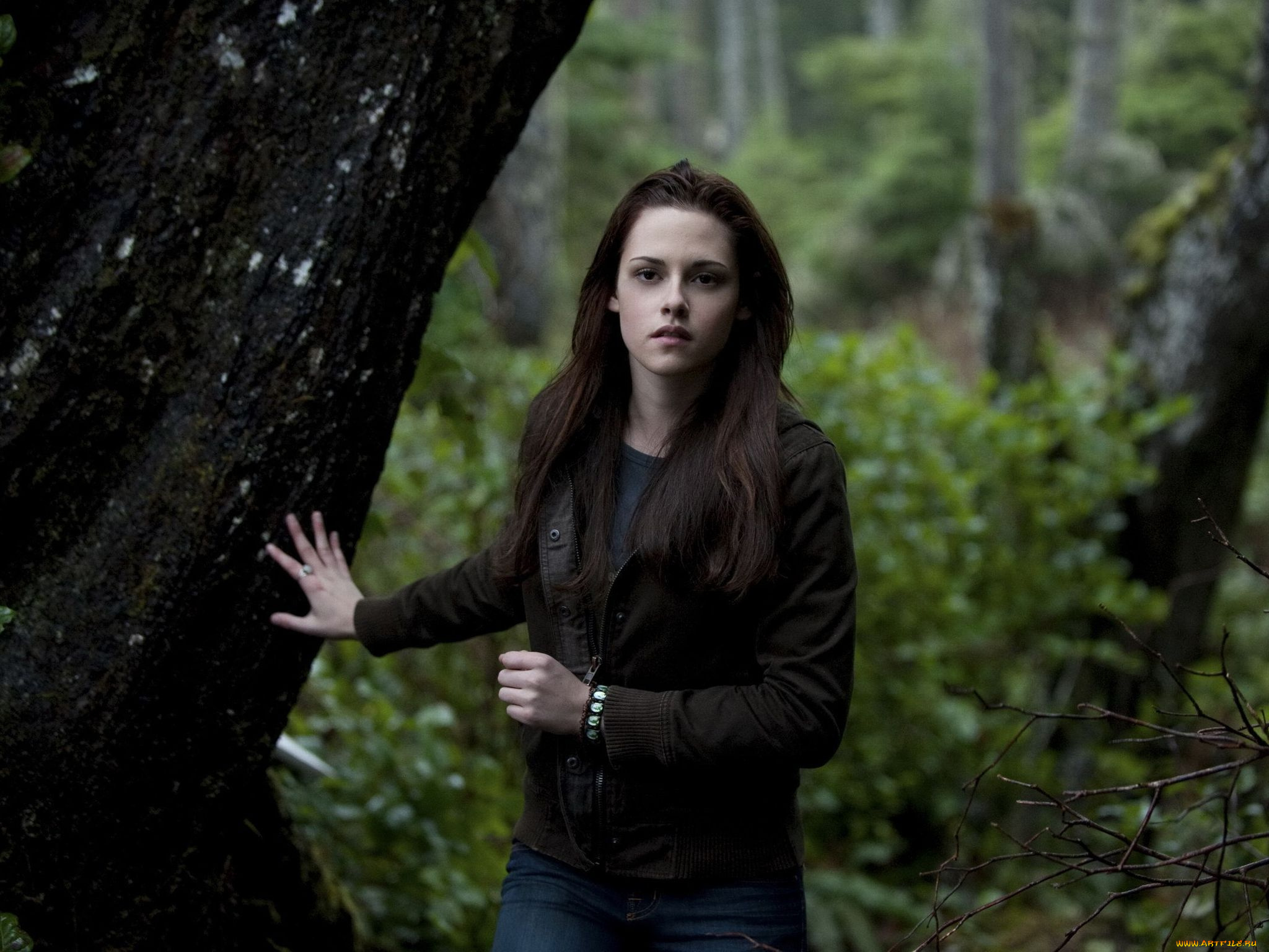 the, twilight, кино, фильмы