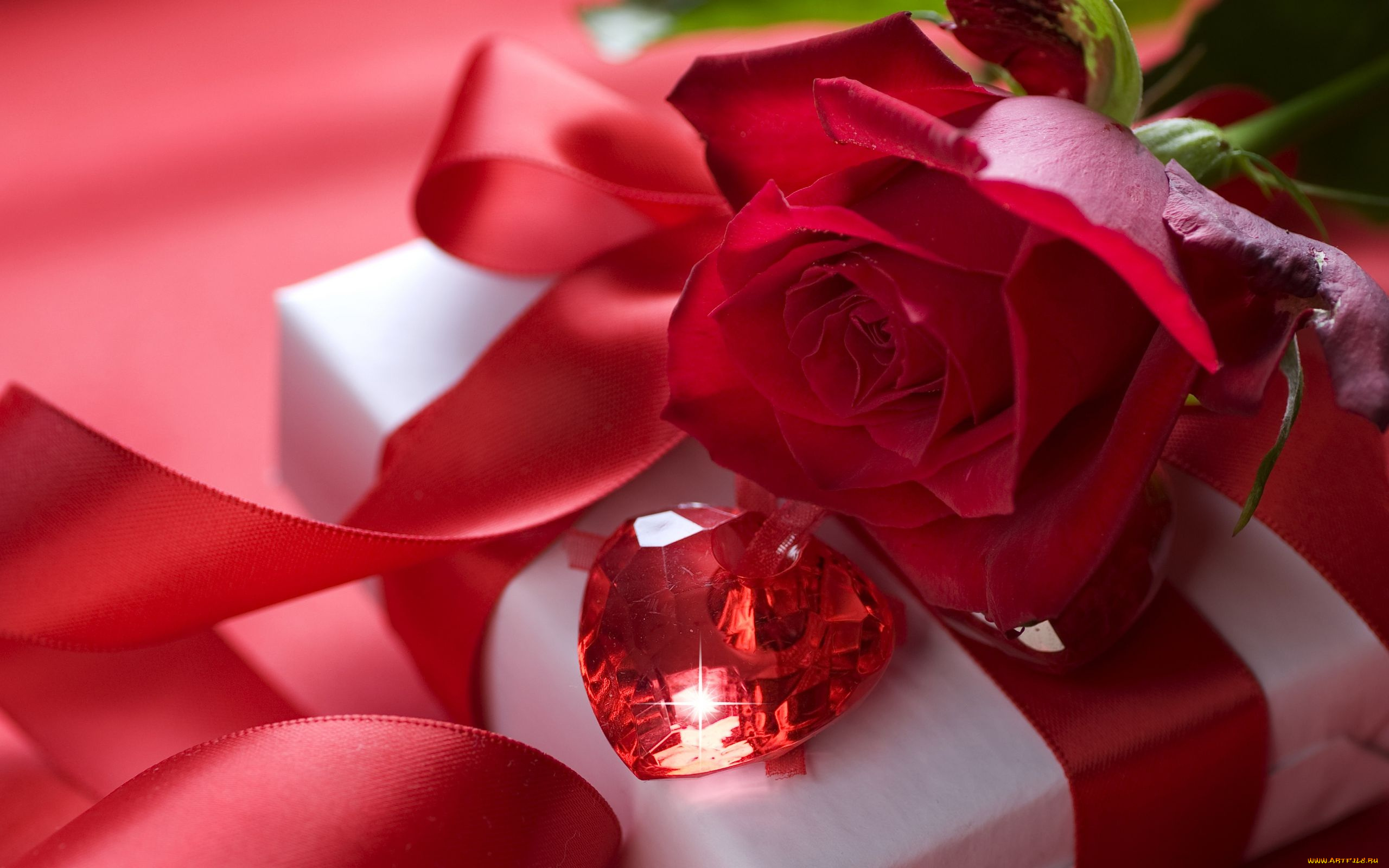 цветы, розы