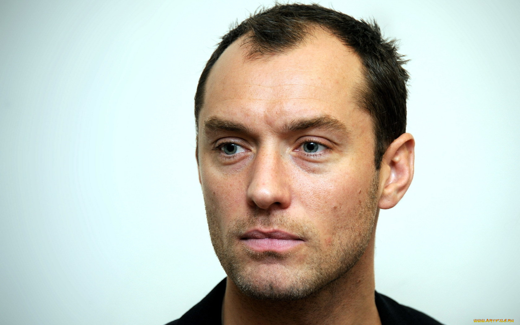 мужчины, jude, law, актер