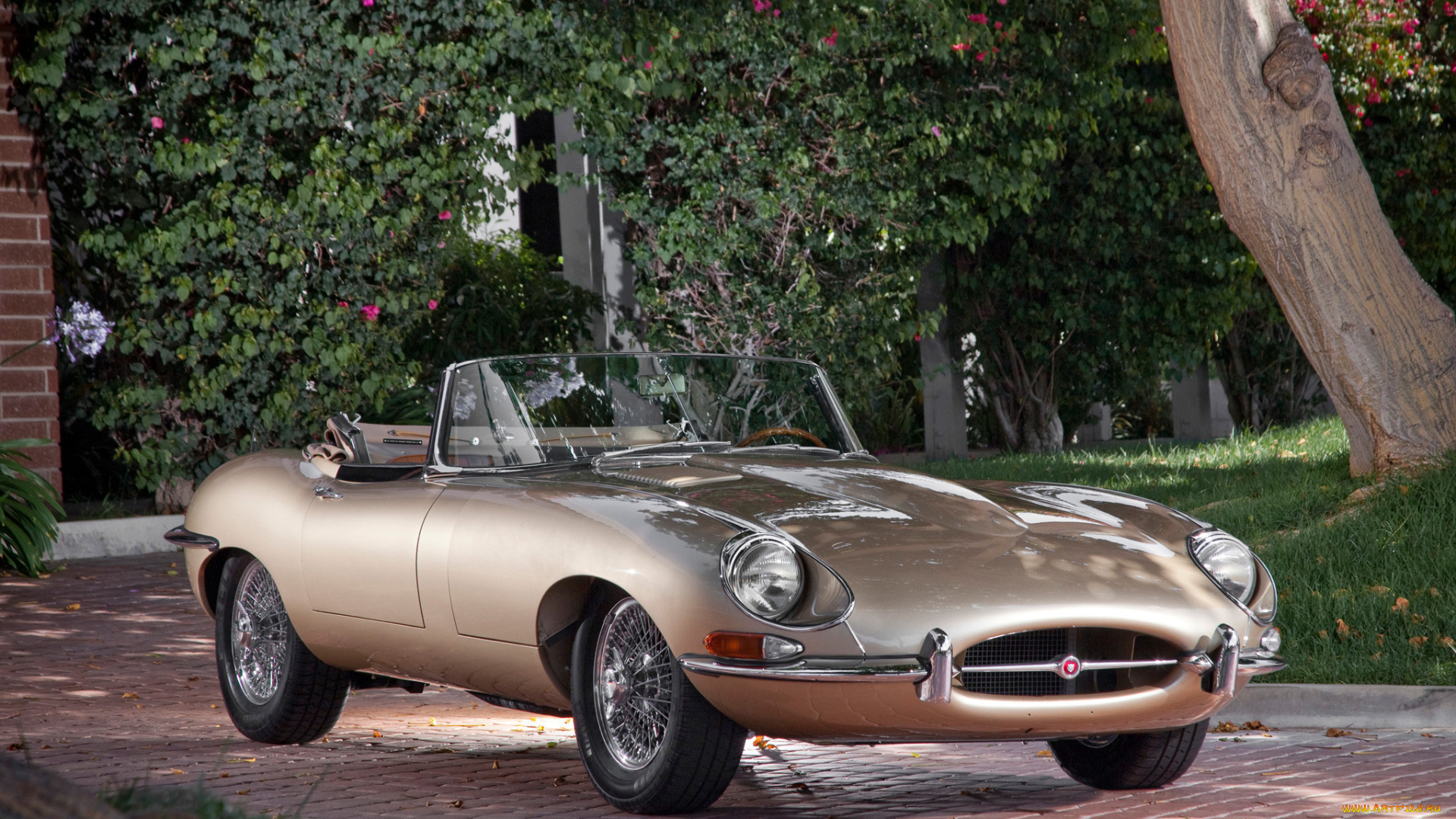 автомобили, jaguar, e-type