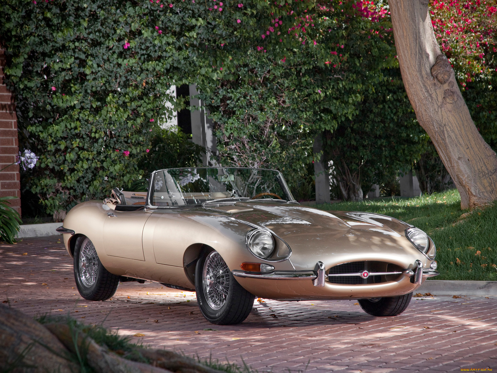 автомобили, jaguar, e-type