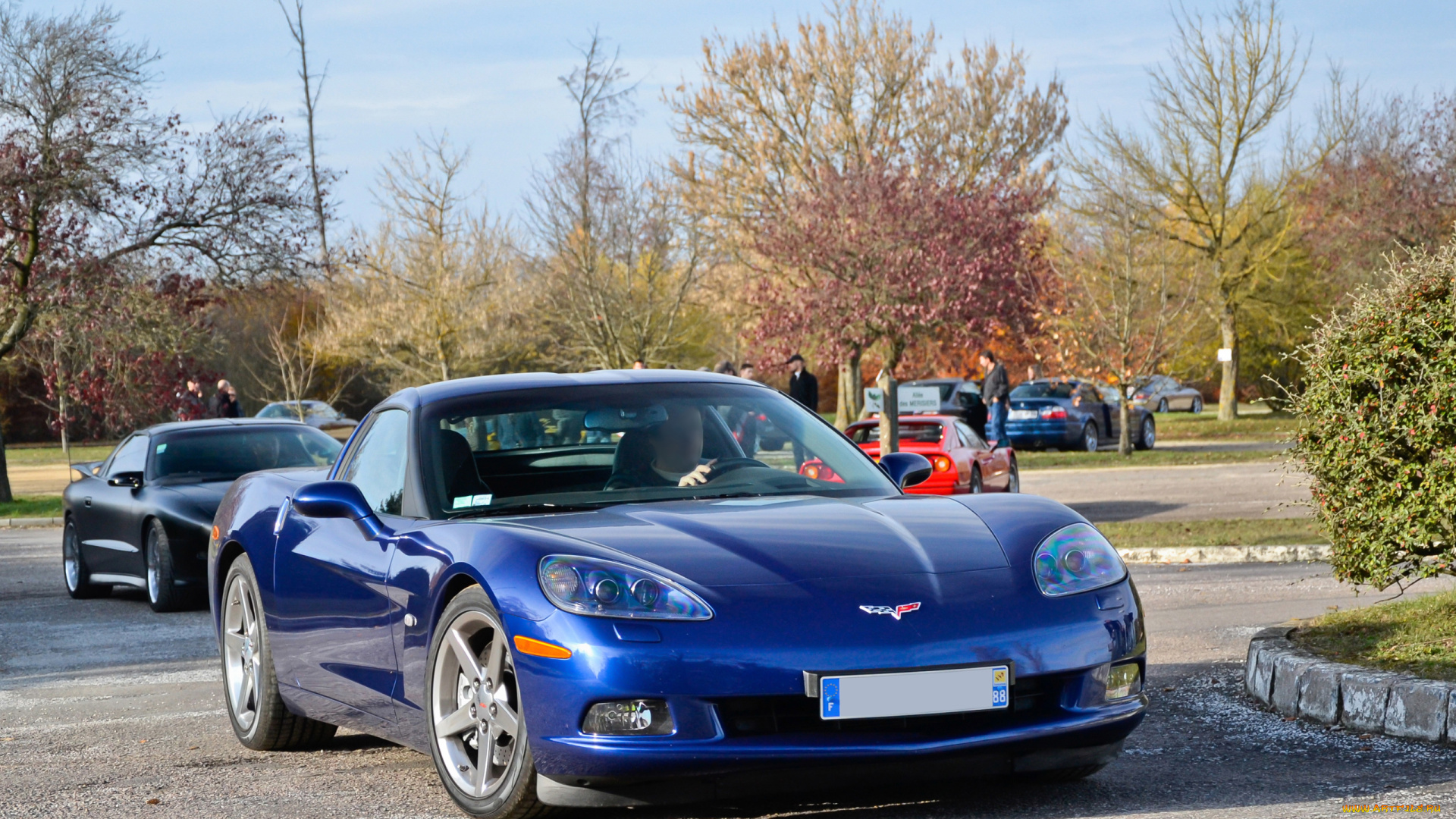 автомобили, выставки, уличные, фото, chevrolet, corvette, c6