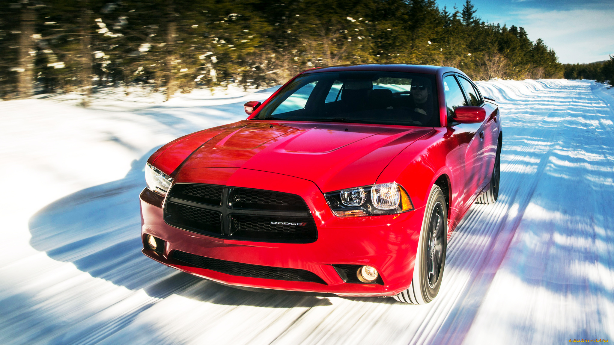 dodge, charger, автомобили, chrysler, group, llc, сша