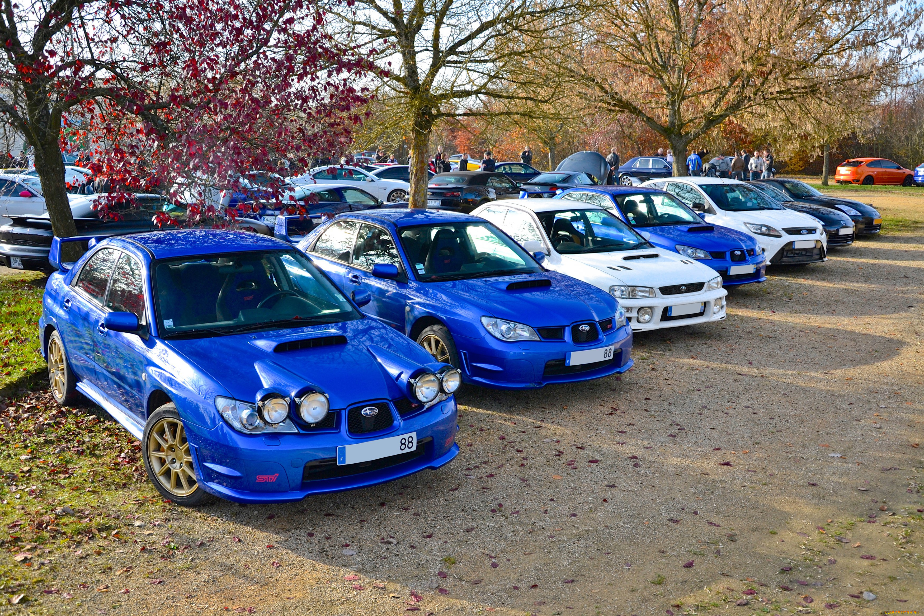 автомобили, разные, вместе, subaru, impreza