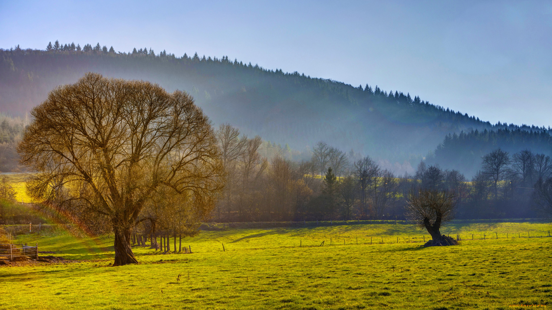 alf, , mosel, , , германия, природа, луга, германия, пейзаж, поля