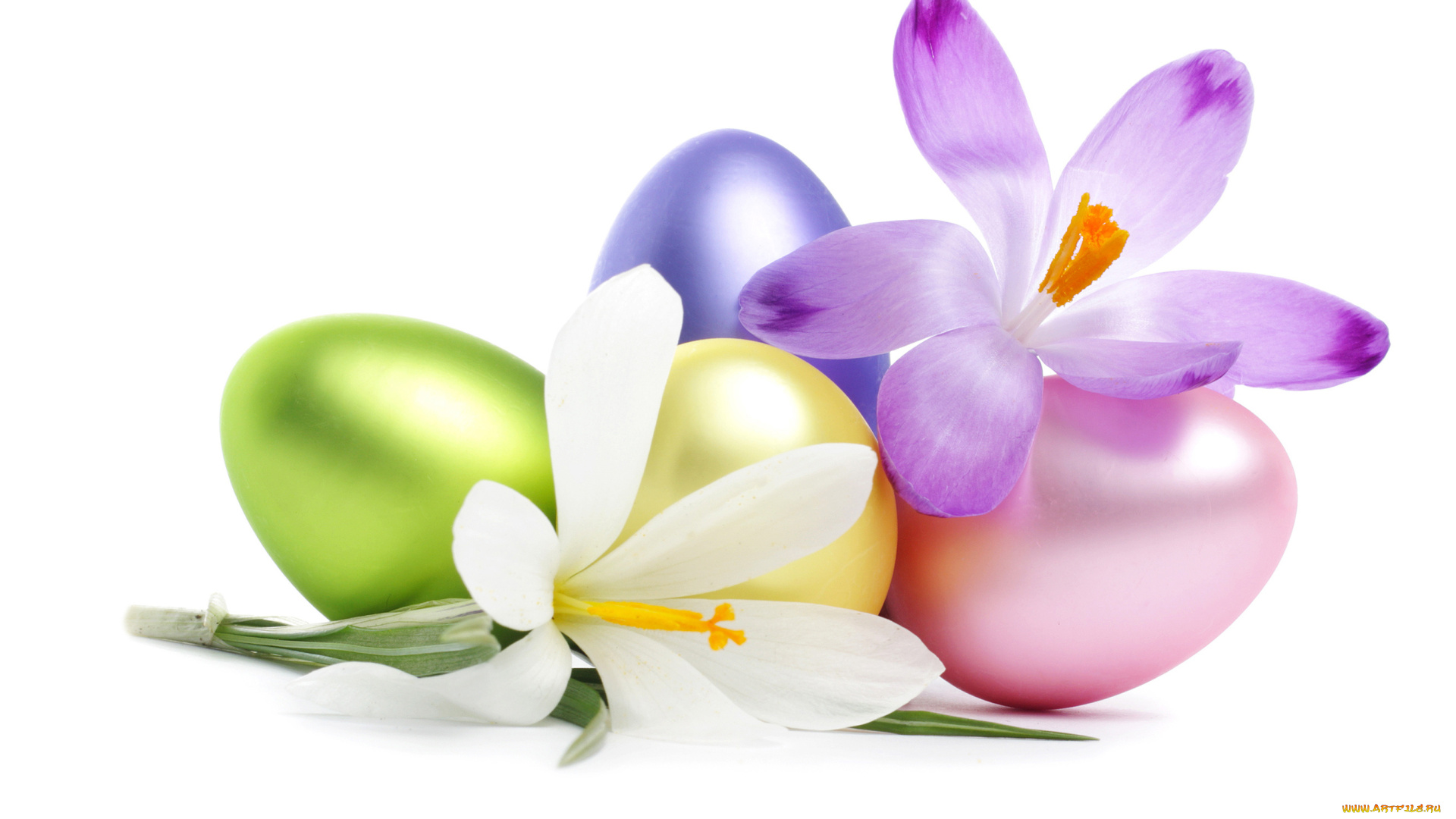 праздничные, пасха, лепестки, яйца