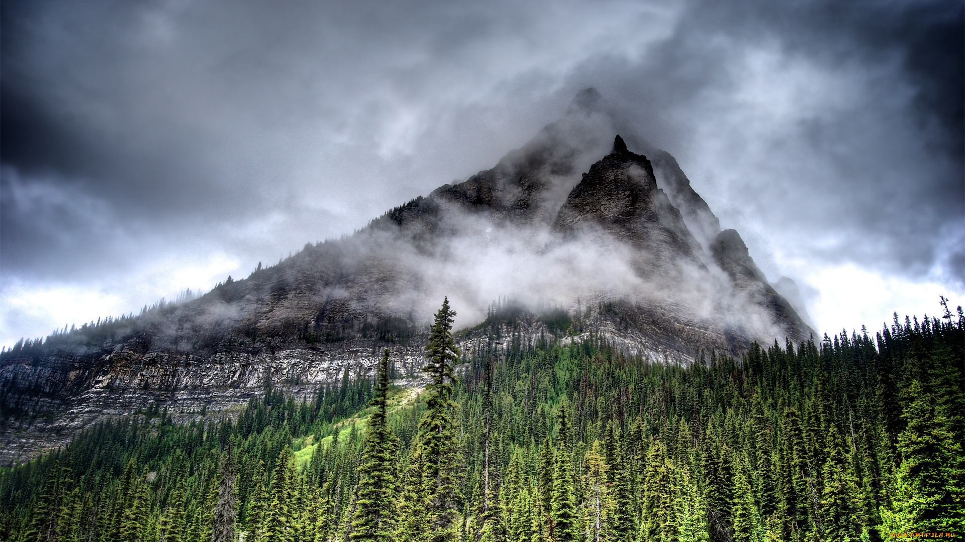 природа, горы, гора, лес