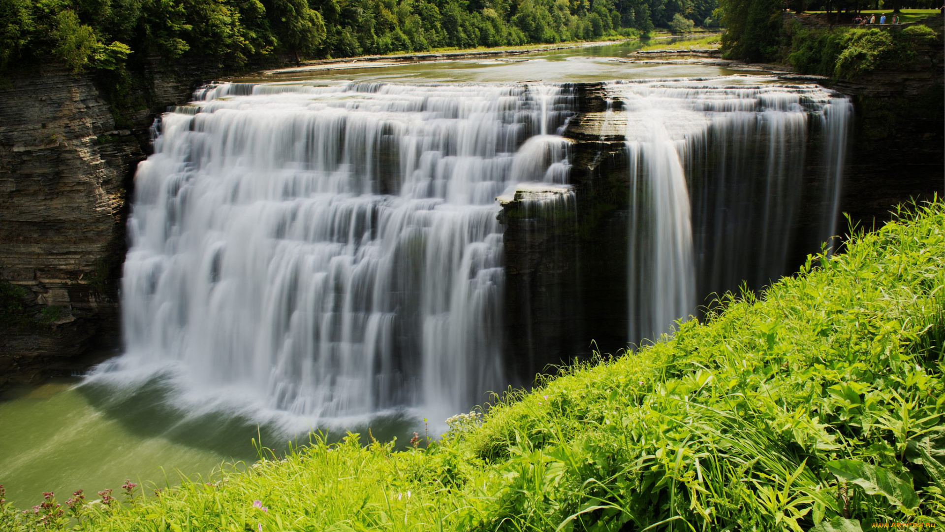 природа, водопады, обрыв, водопад, лес, река