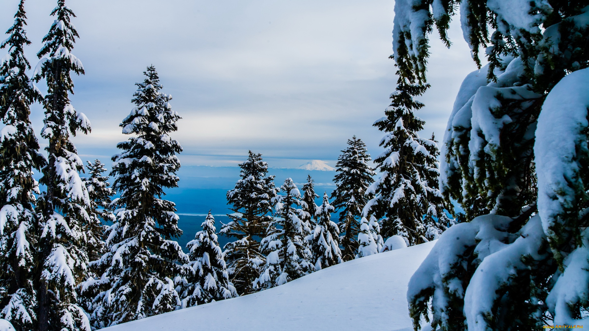 природа, зима, горы, лес, снег