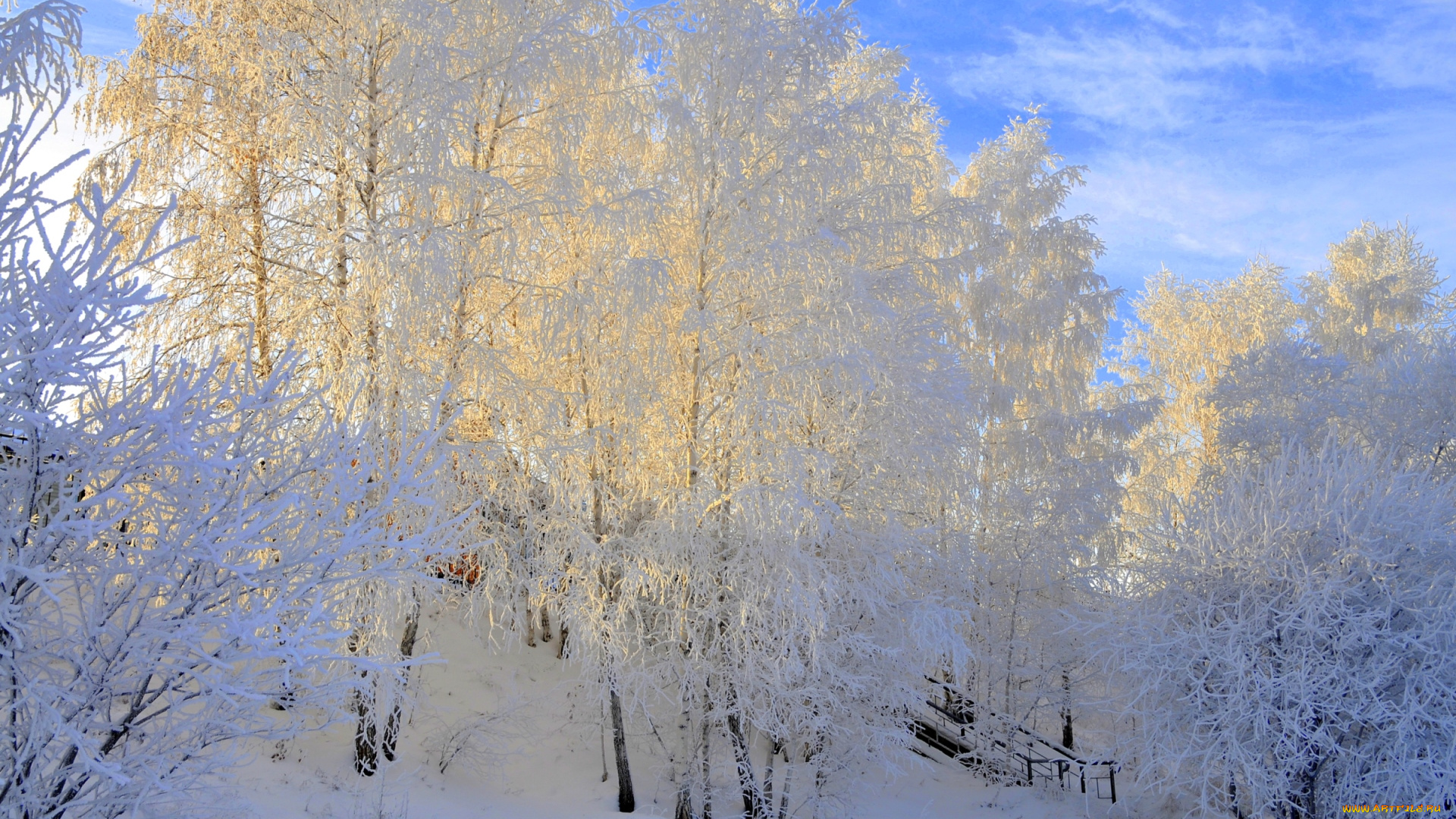 природа, зима, снег