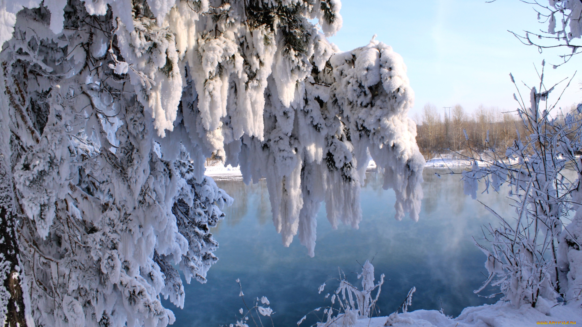 природа, зима, снег