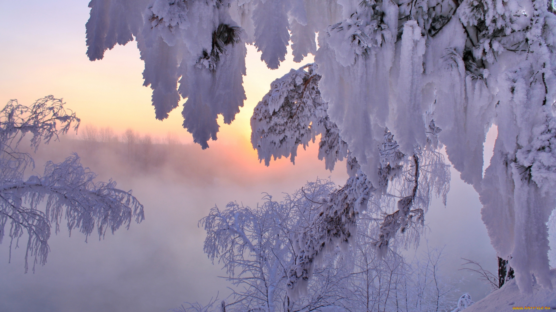 природа, зима, ветки, деревья, снег