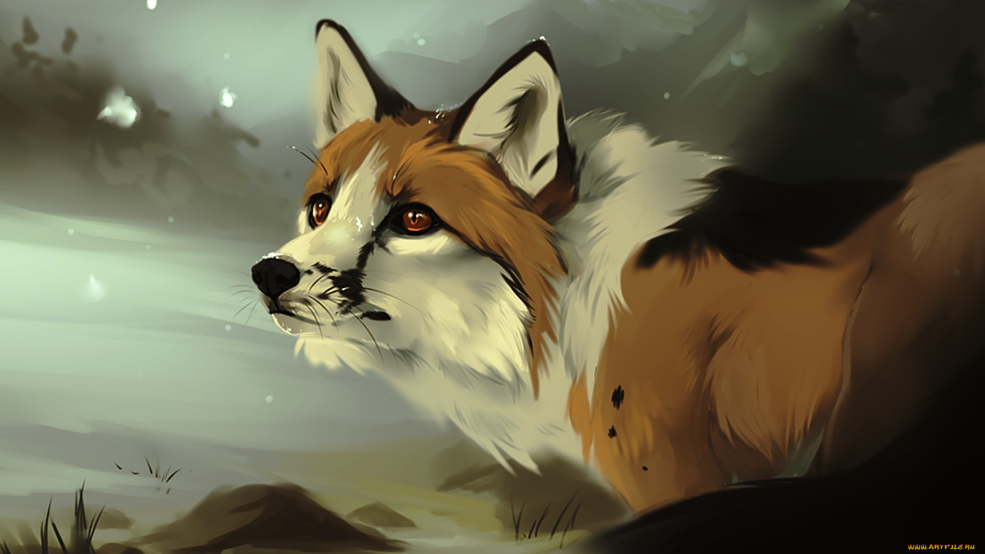 рисованные, животные, , лисы, морда