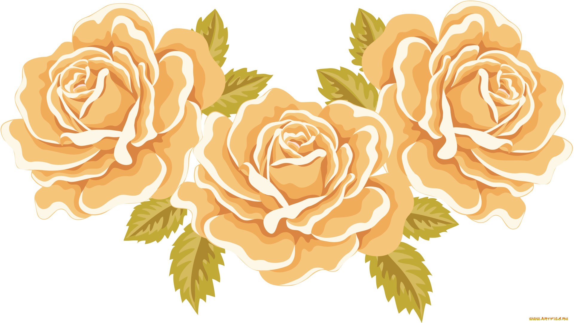 векторная, графика, розы