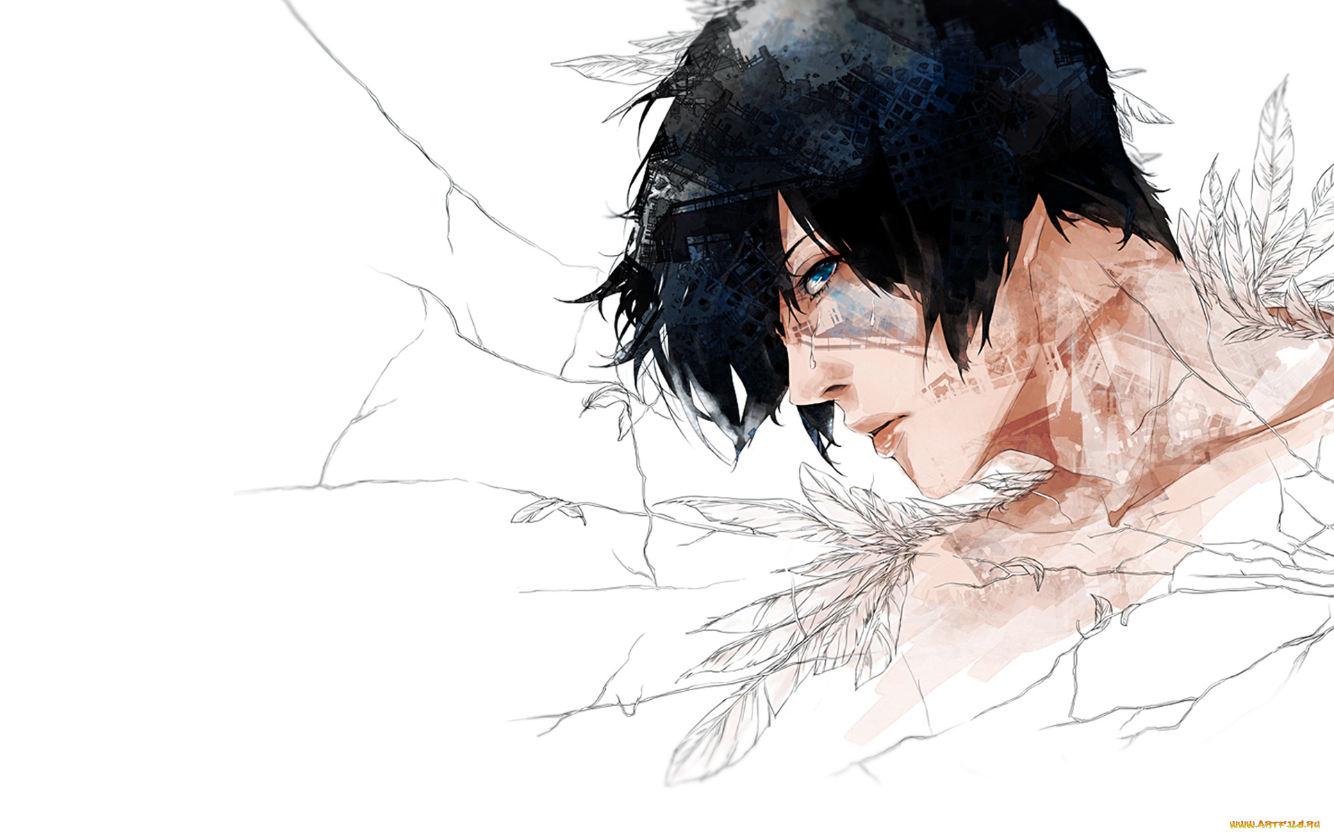 аниме, *unknown, , другое, брюнет, белый, фон, трещины, глаз, профиль, перья, парень