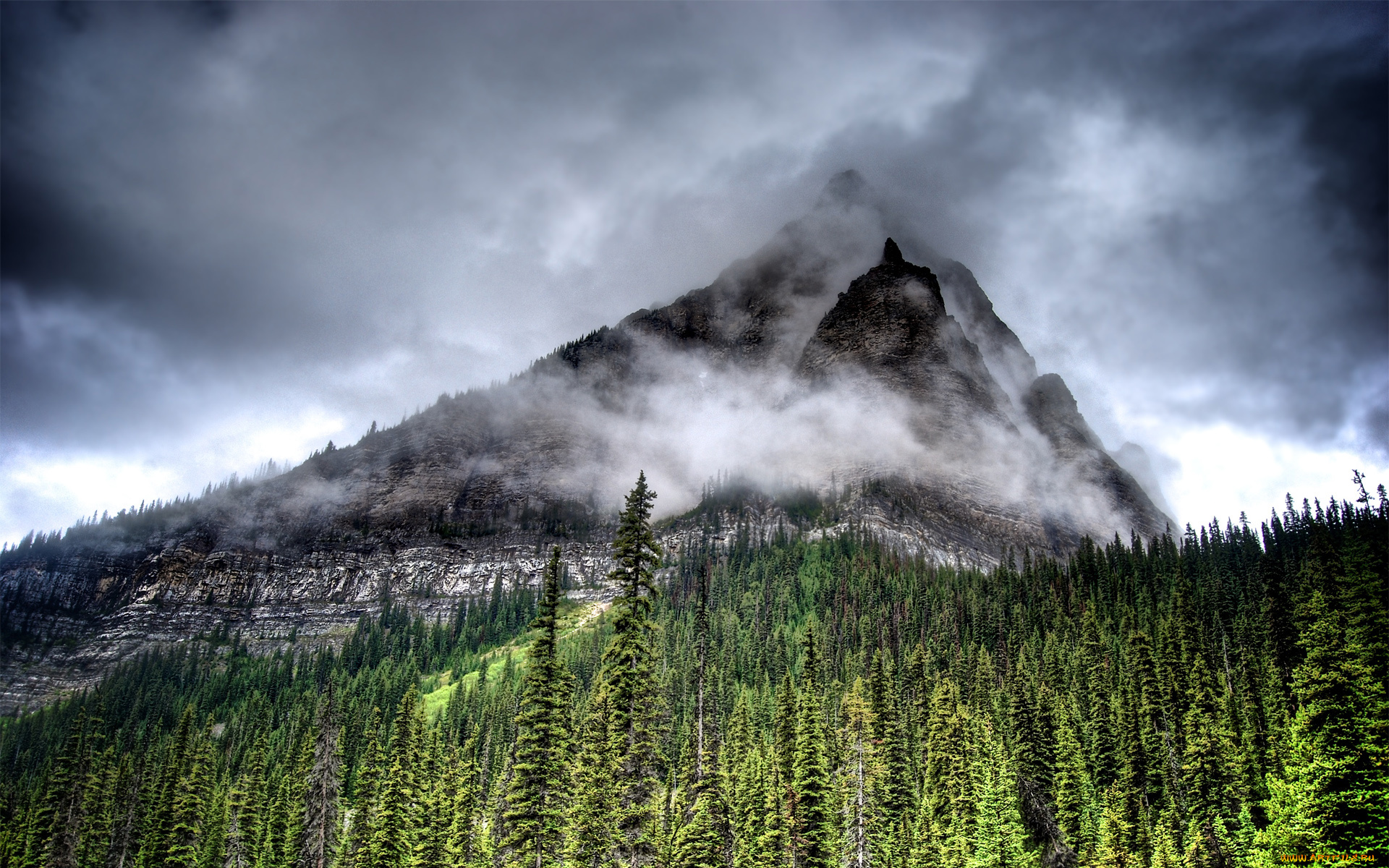 природа, горы, гора, лес