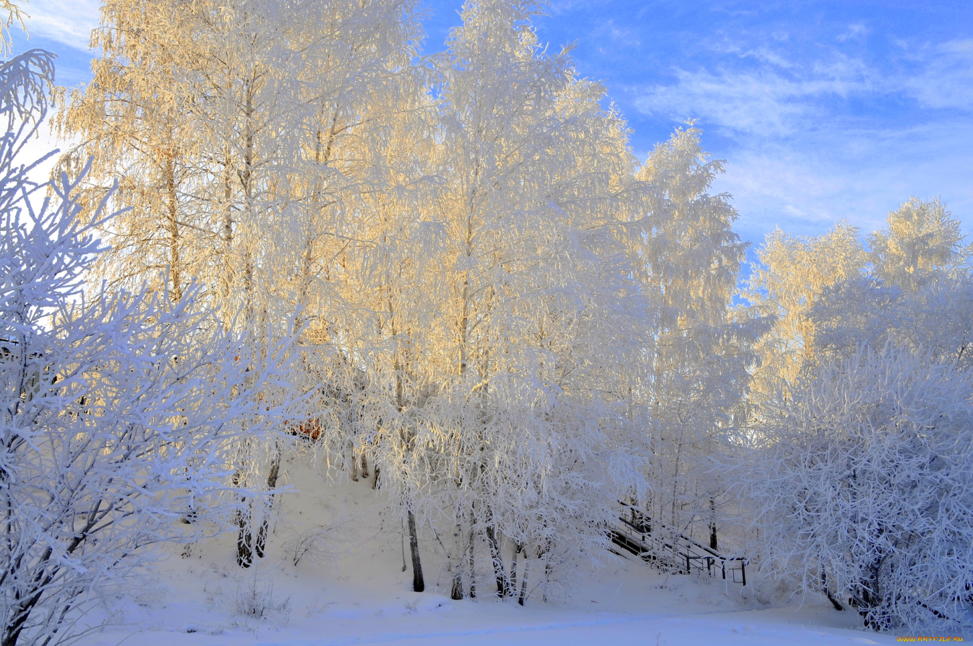 природа, зима, снег