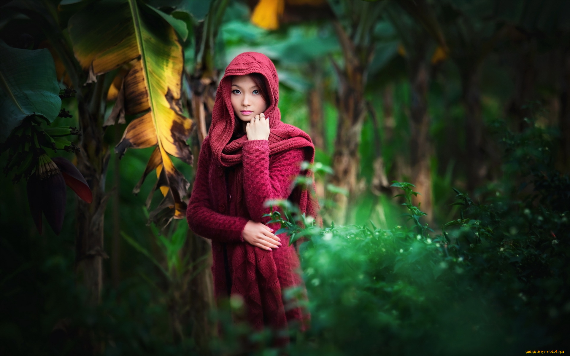 девушки, -unsort, , азиатки, девушка, фон, азиатка