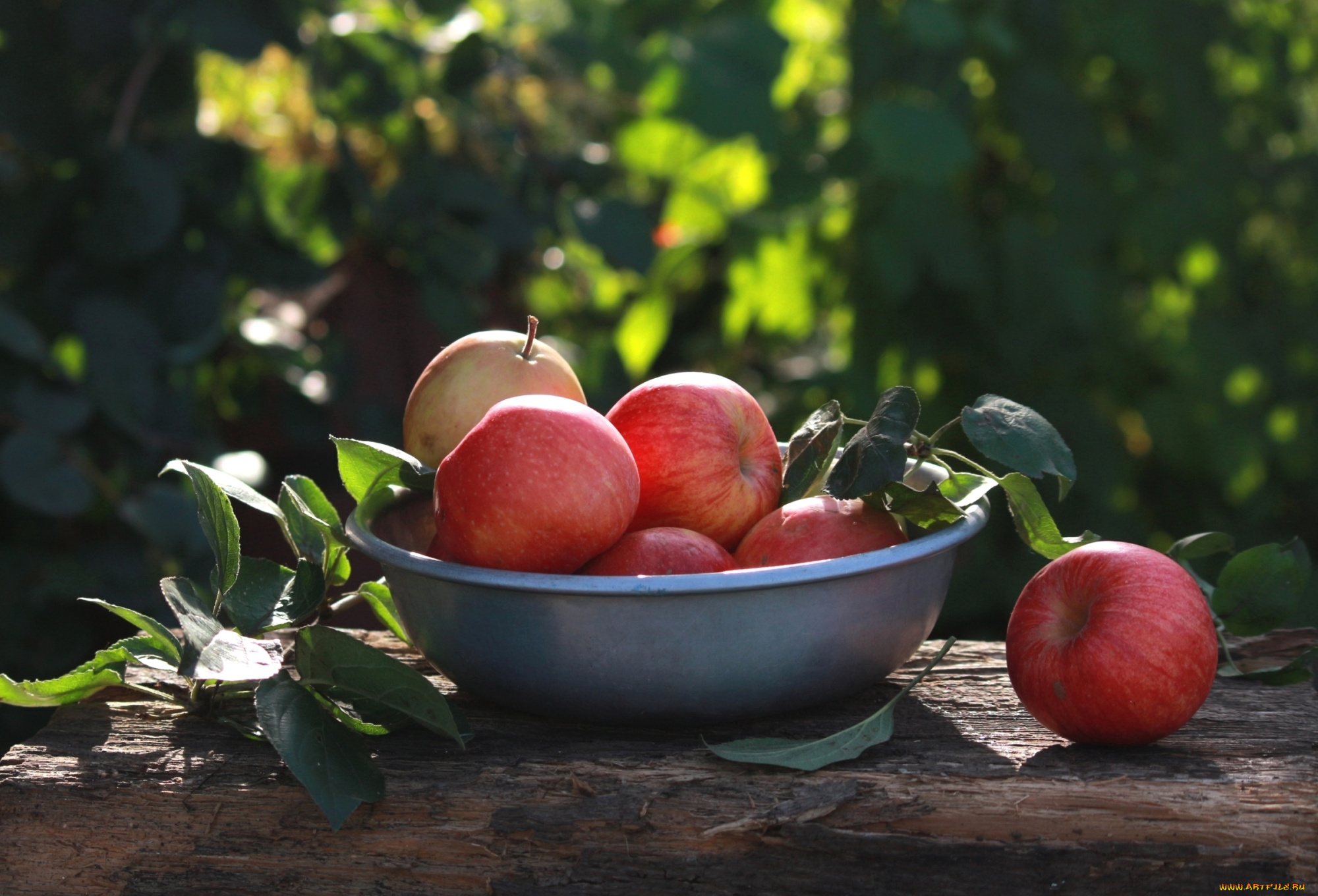 еда, Яблоки, плоды, миска