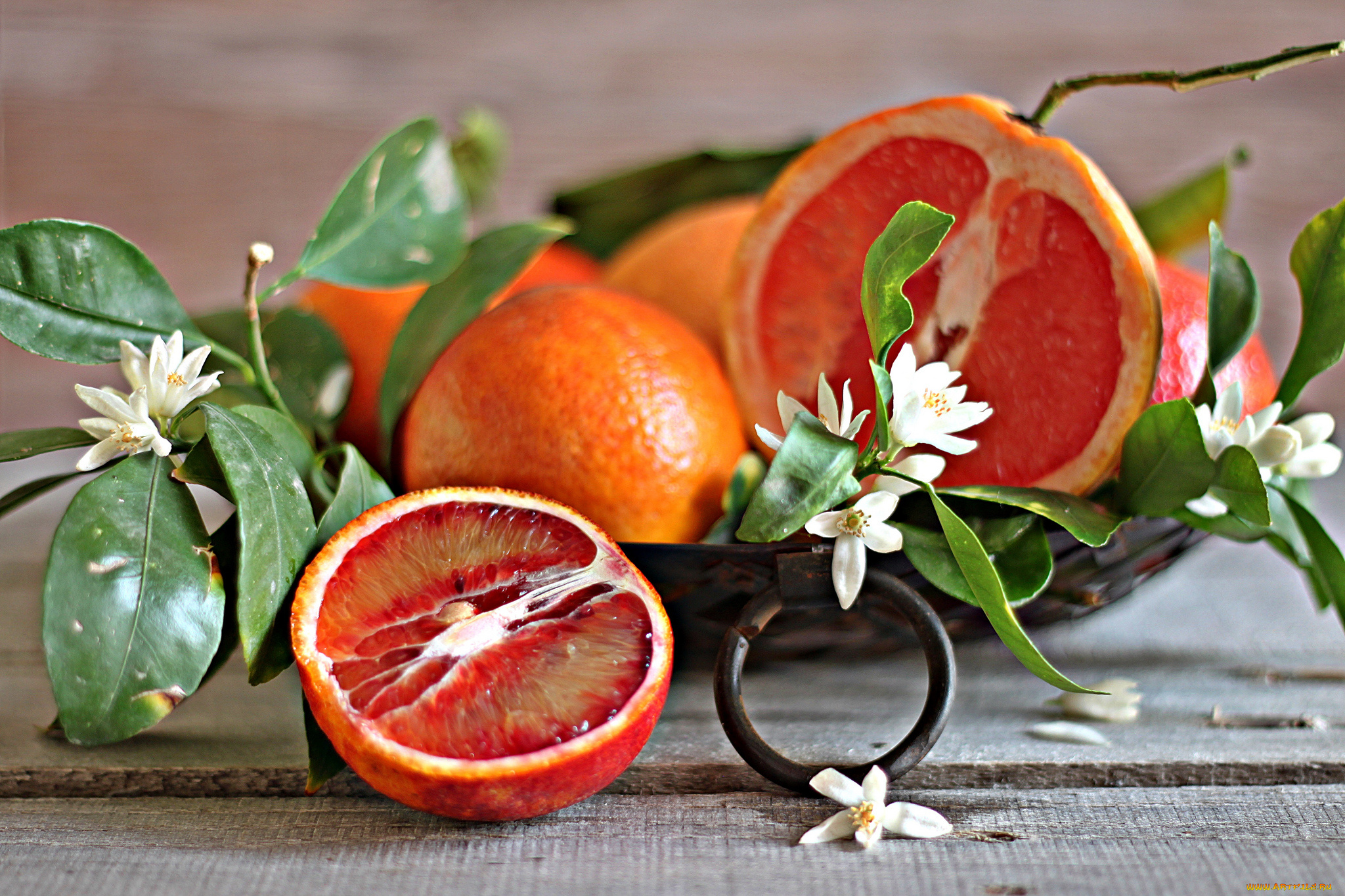 еда, цитрусы, дольки, цветы
