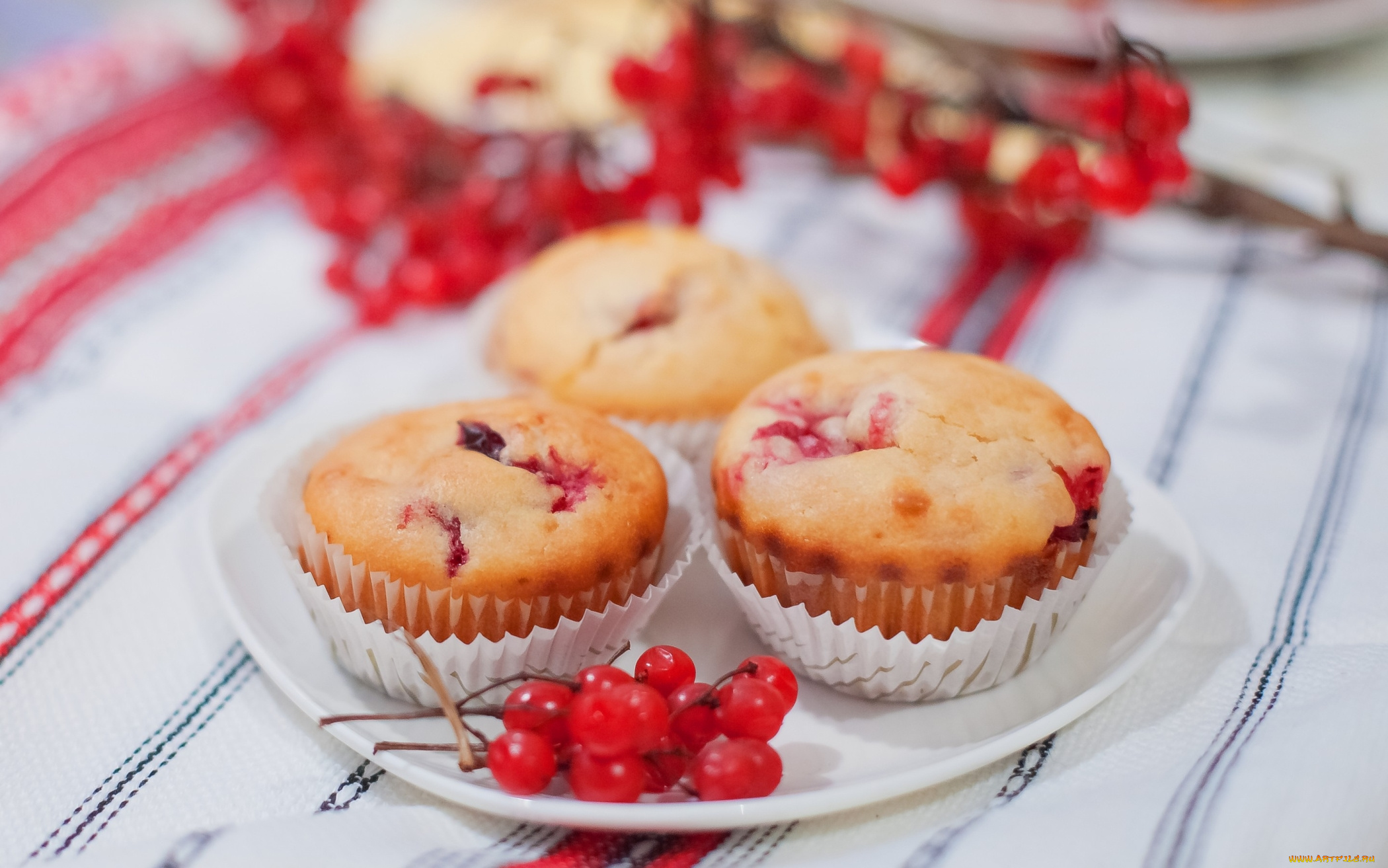 еда, пирожные, , кексы, , печенье, ягоды, тарелка, кексы, брусника