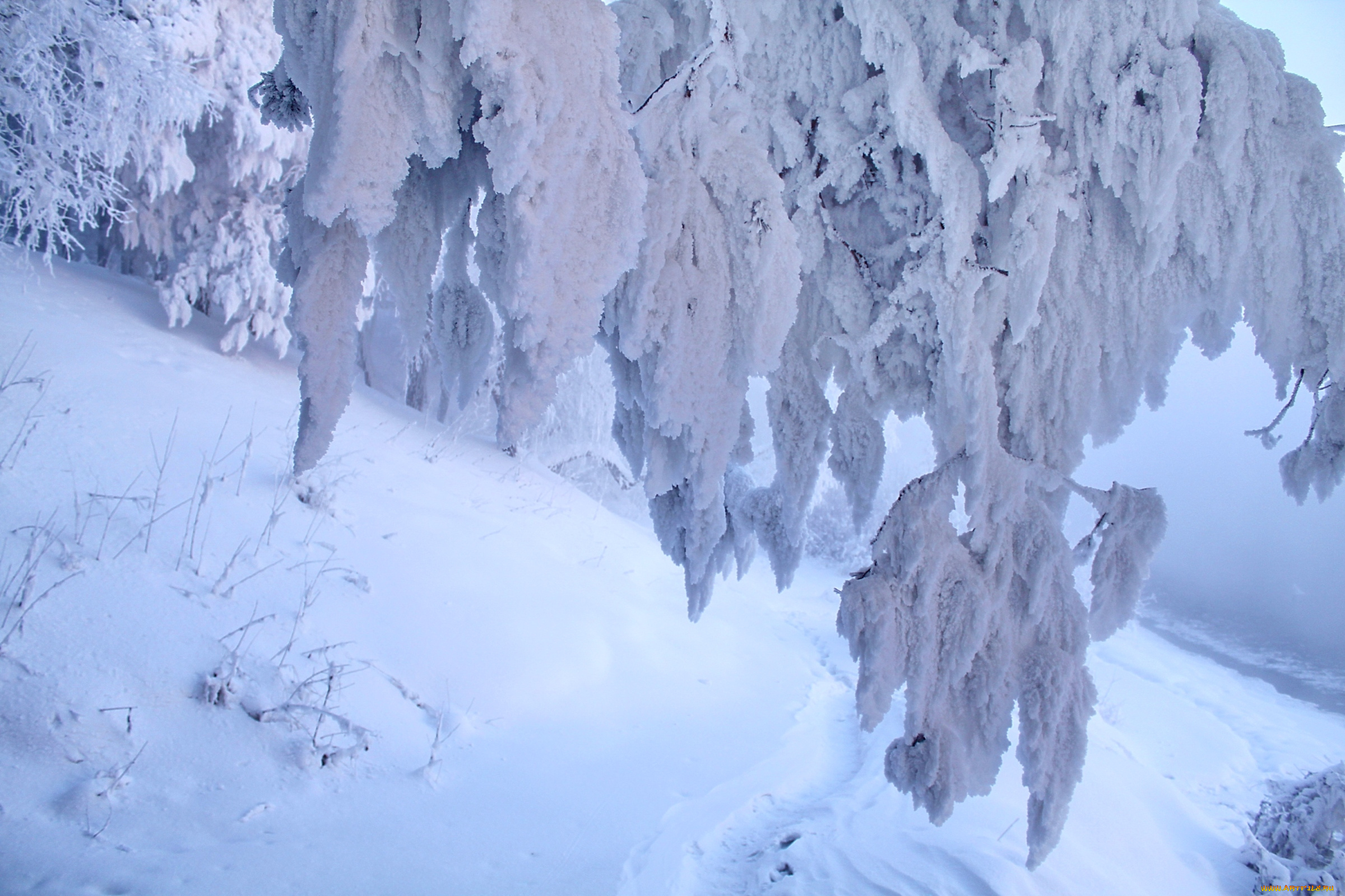 природа, зима, снег