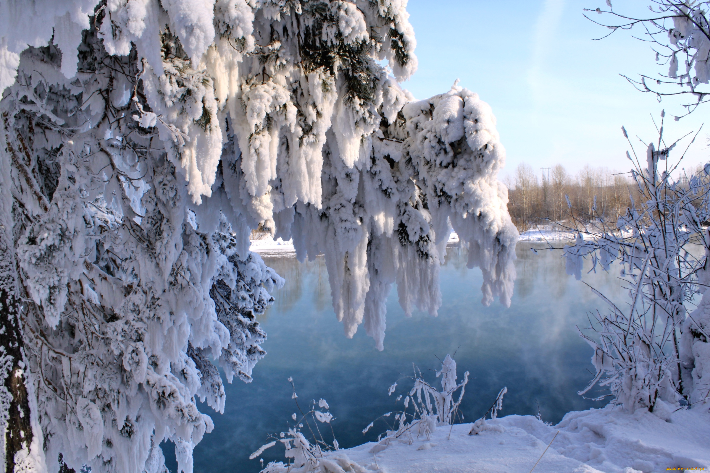 природа, зима, снег