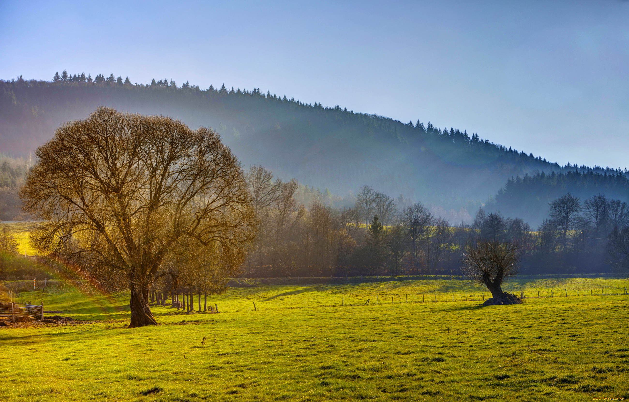 alf, , mosel, , , германия, природа, луга, германия, пейзаж, поля