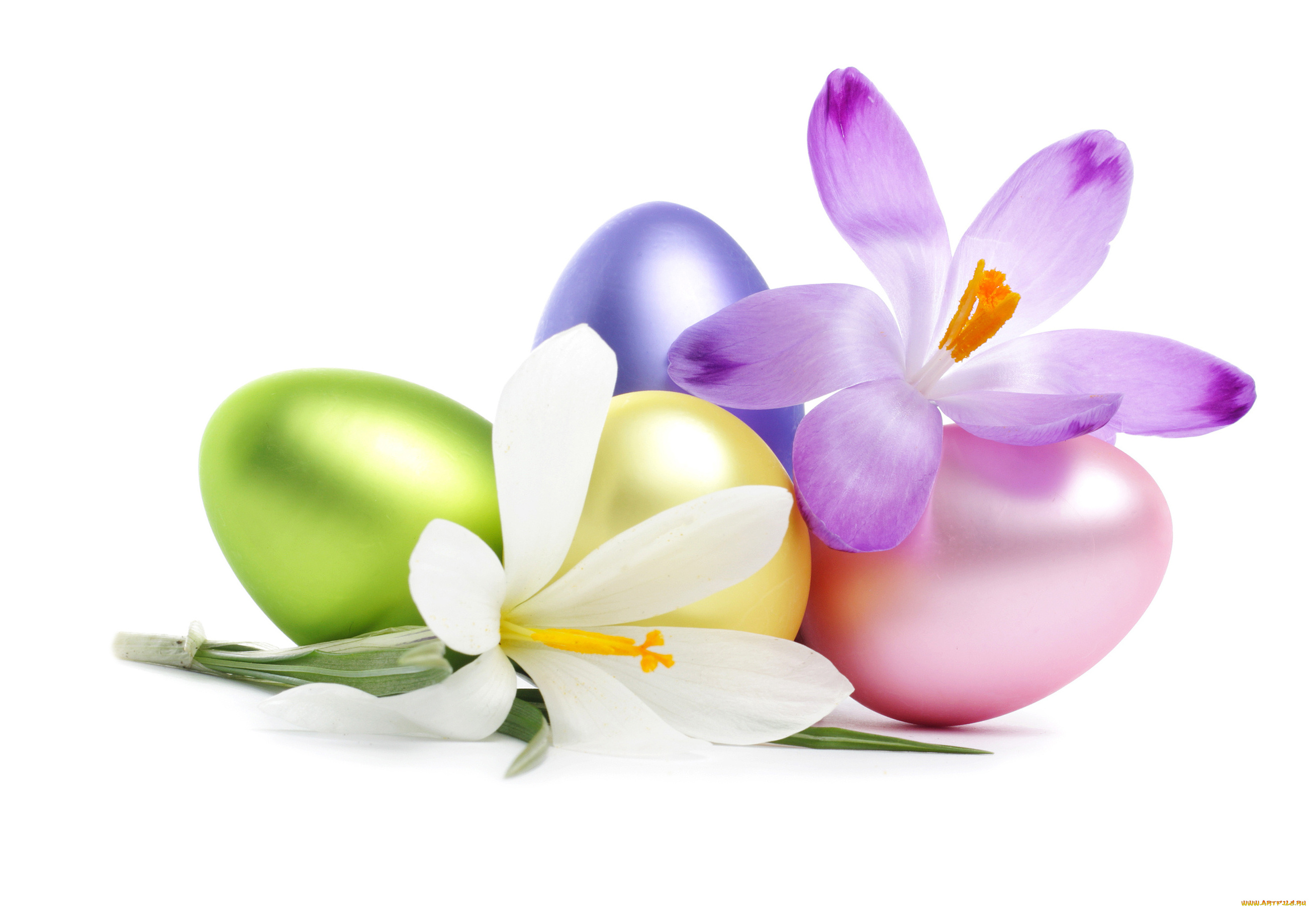 праздничные, пасха, лепестки, яйца