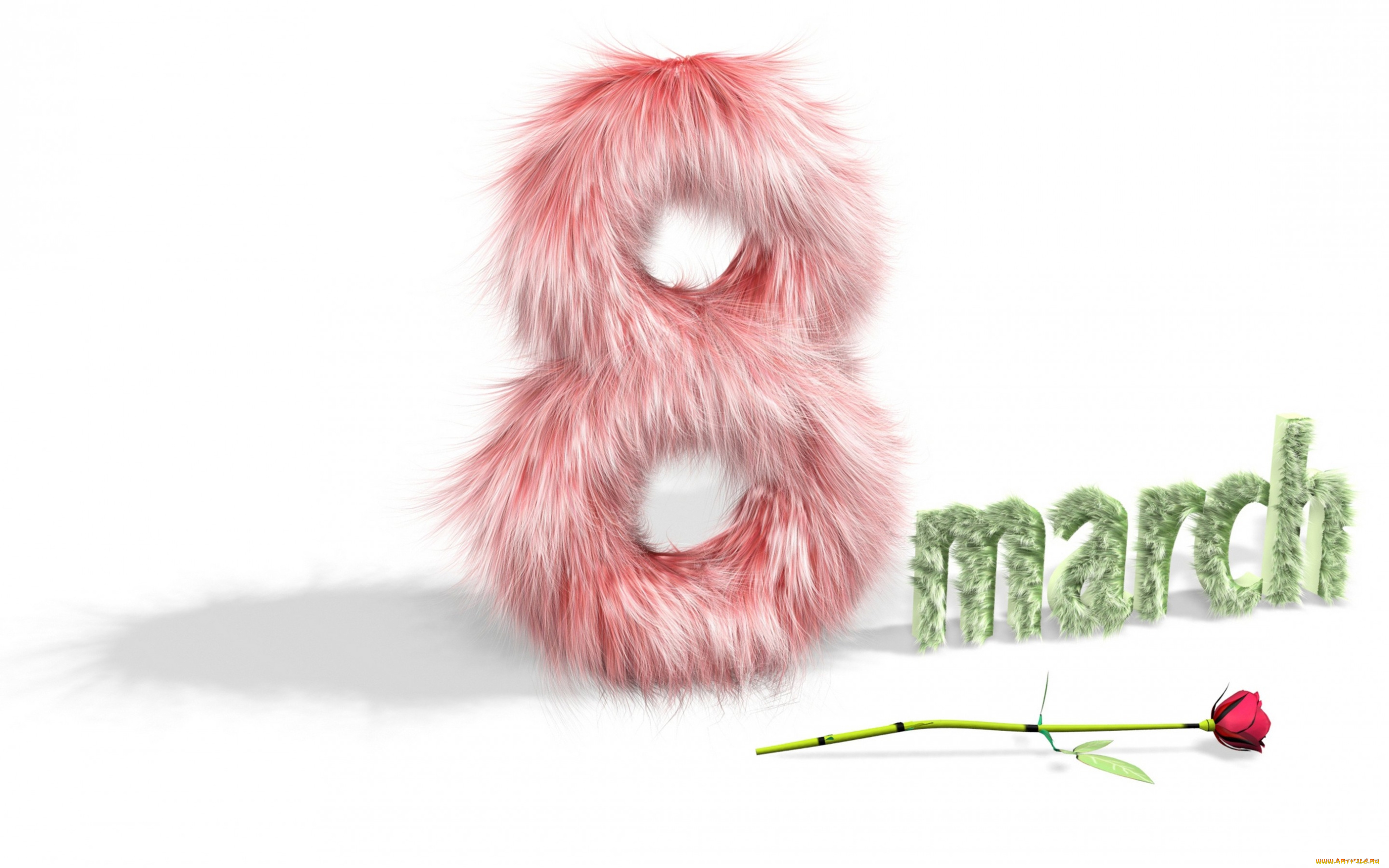 праздничные, международный, женский, день, -, 8, марта, роза, международный, женский, день, пушистое, 8, марта