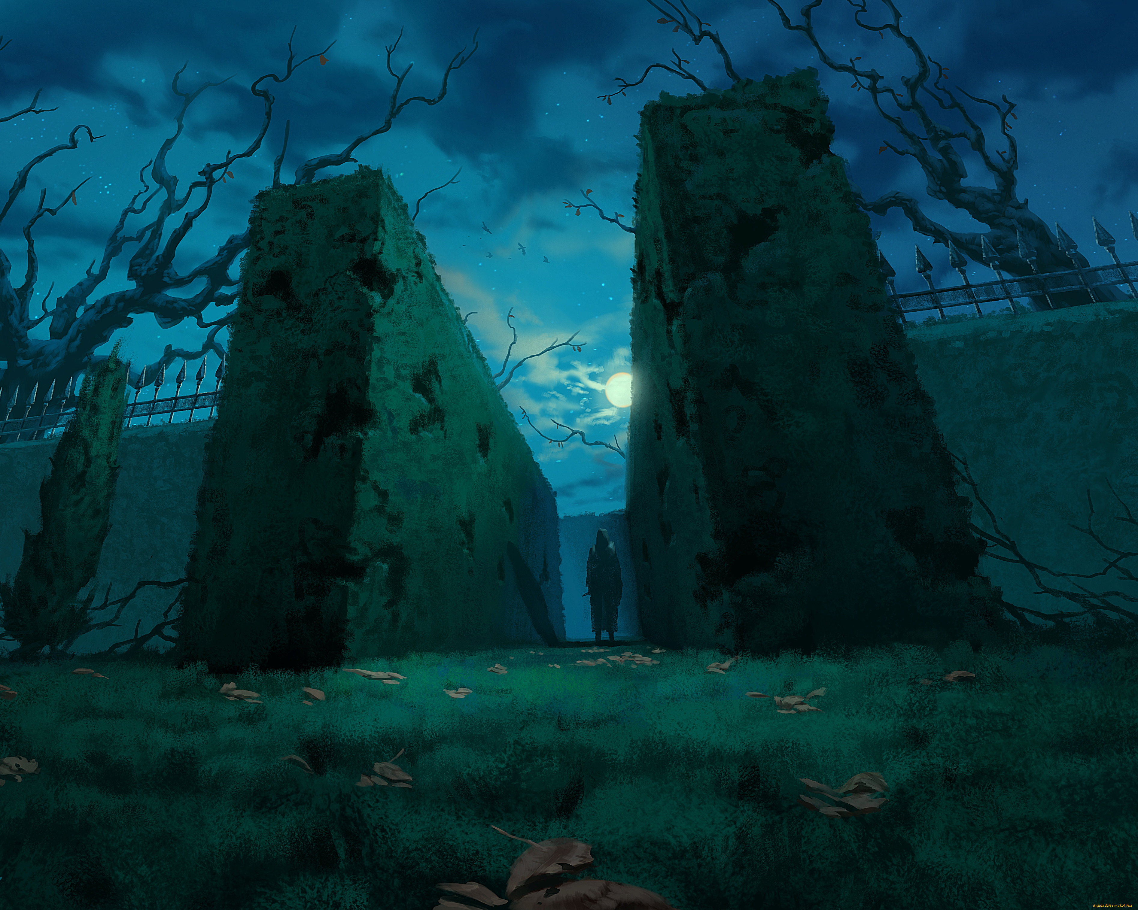 фэнтези, иные, миры, , иные, времена, трава, ночь, лабиринт, мир, иной