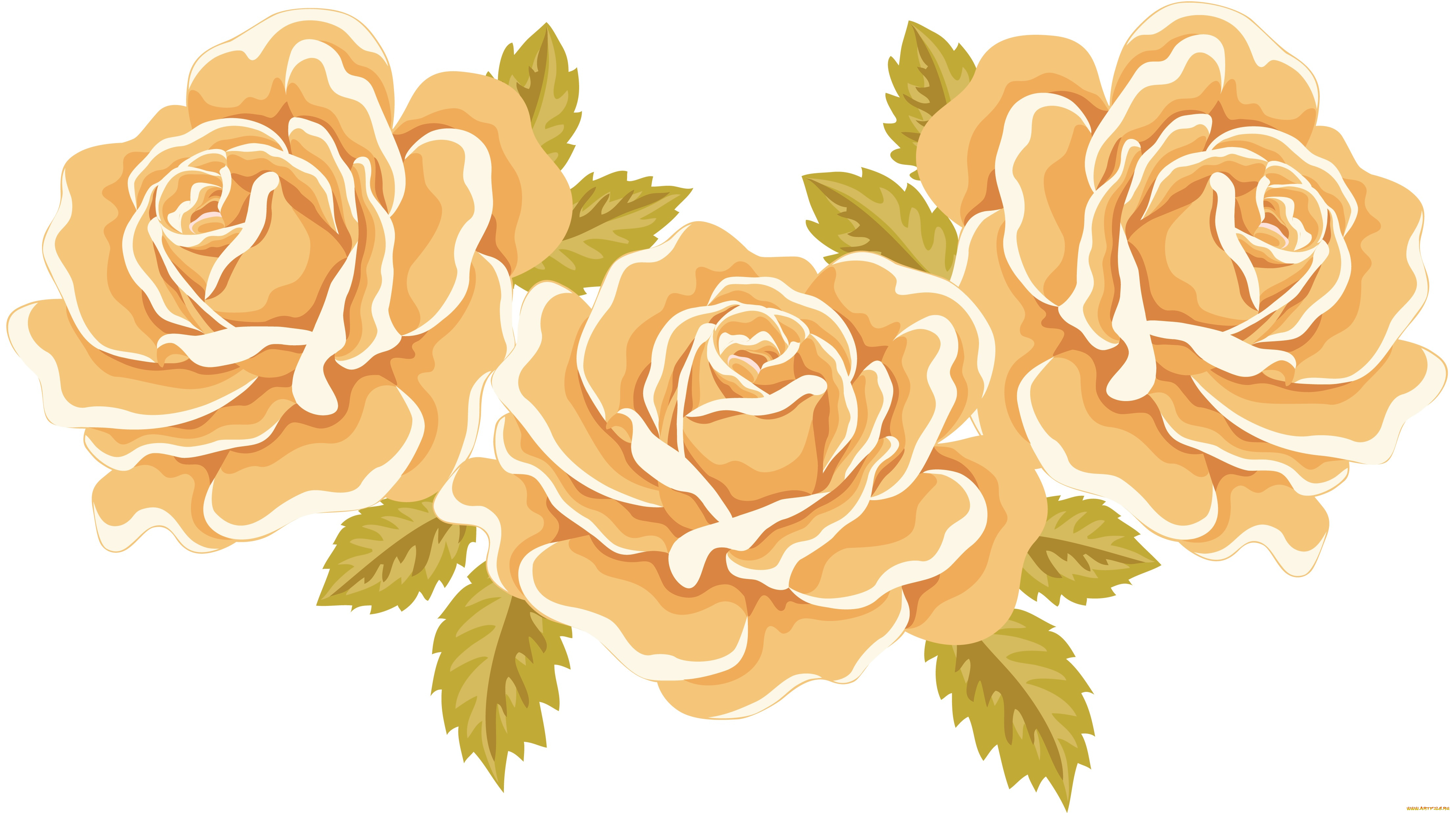 векторная, графика, розы