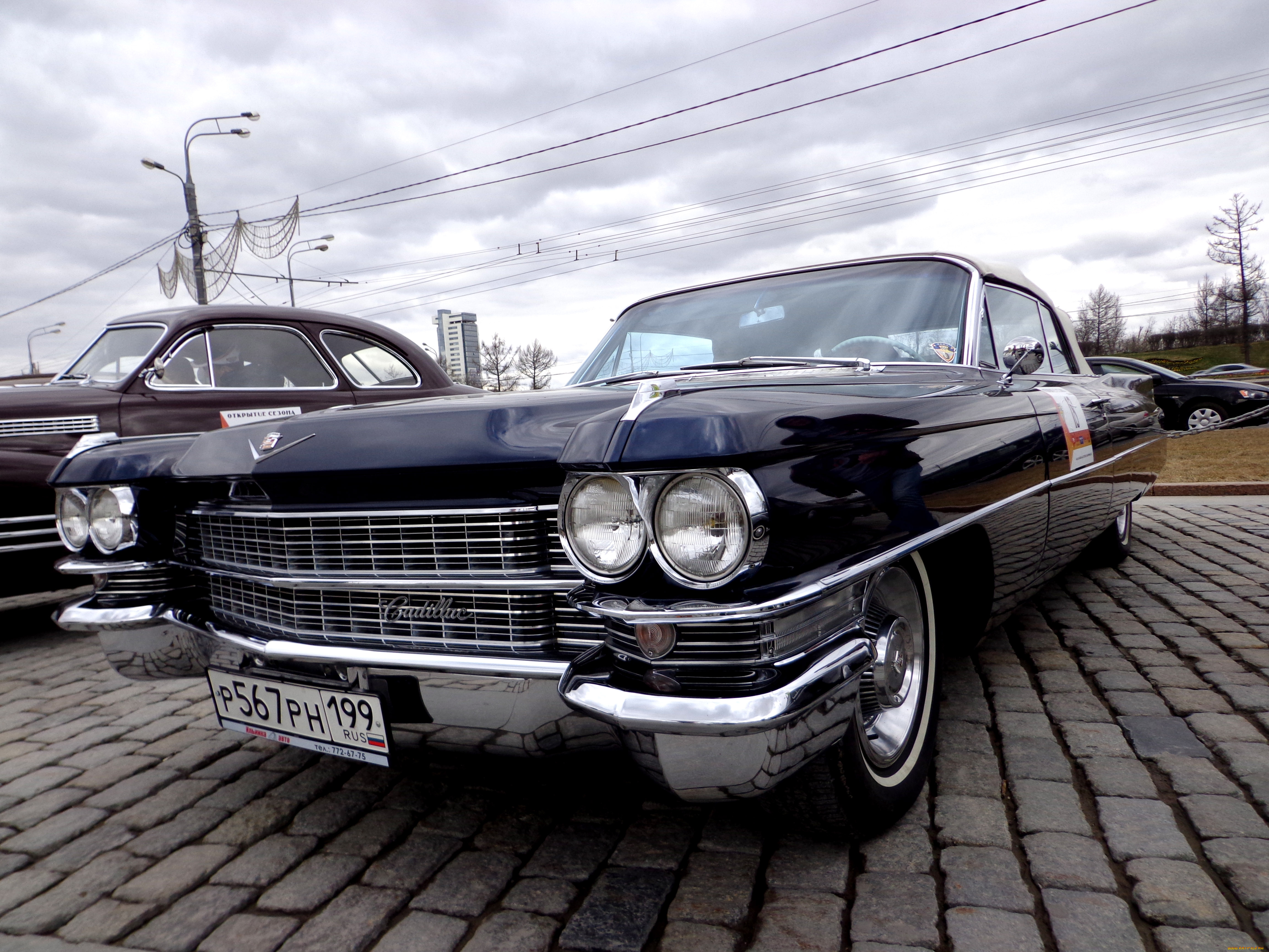 автомобили, выставки, и, уличные, фото, черный, cadillac