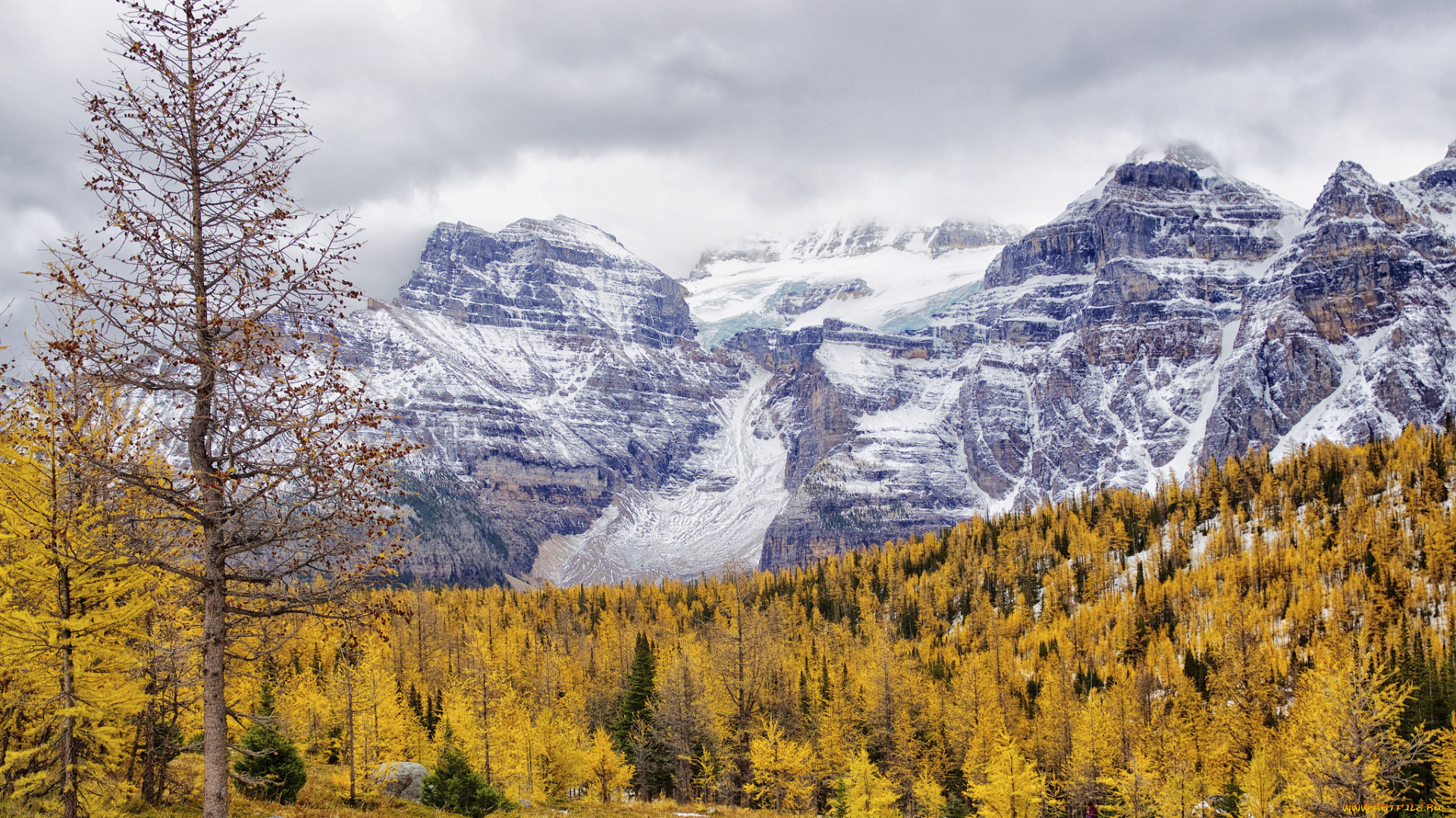 природа, горы, пейзаж, осень, снег, деревья
