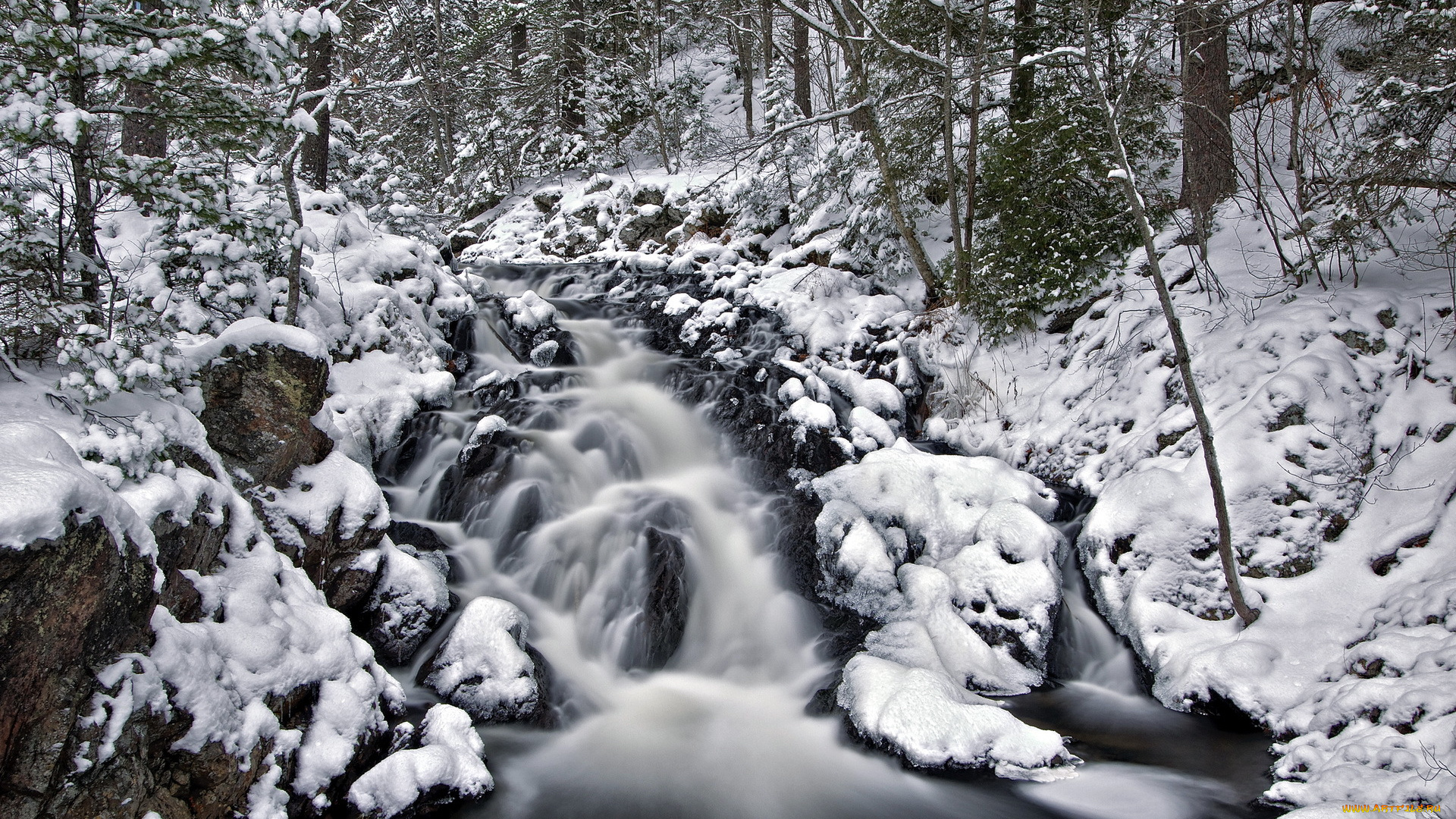 природа, реки, озера, река, лес, снег